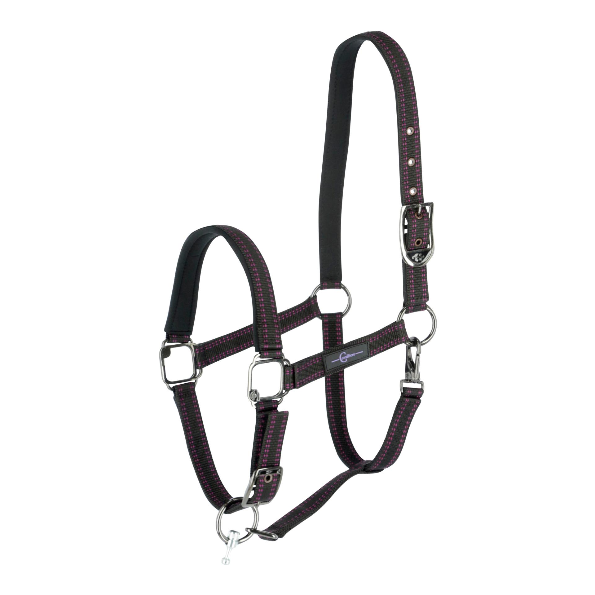 Covalliero GoLeyGo 2.0 Halfter - schwarz/fuchsia