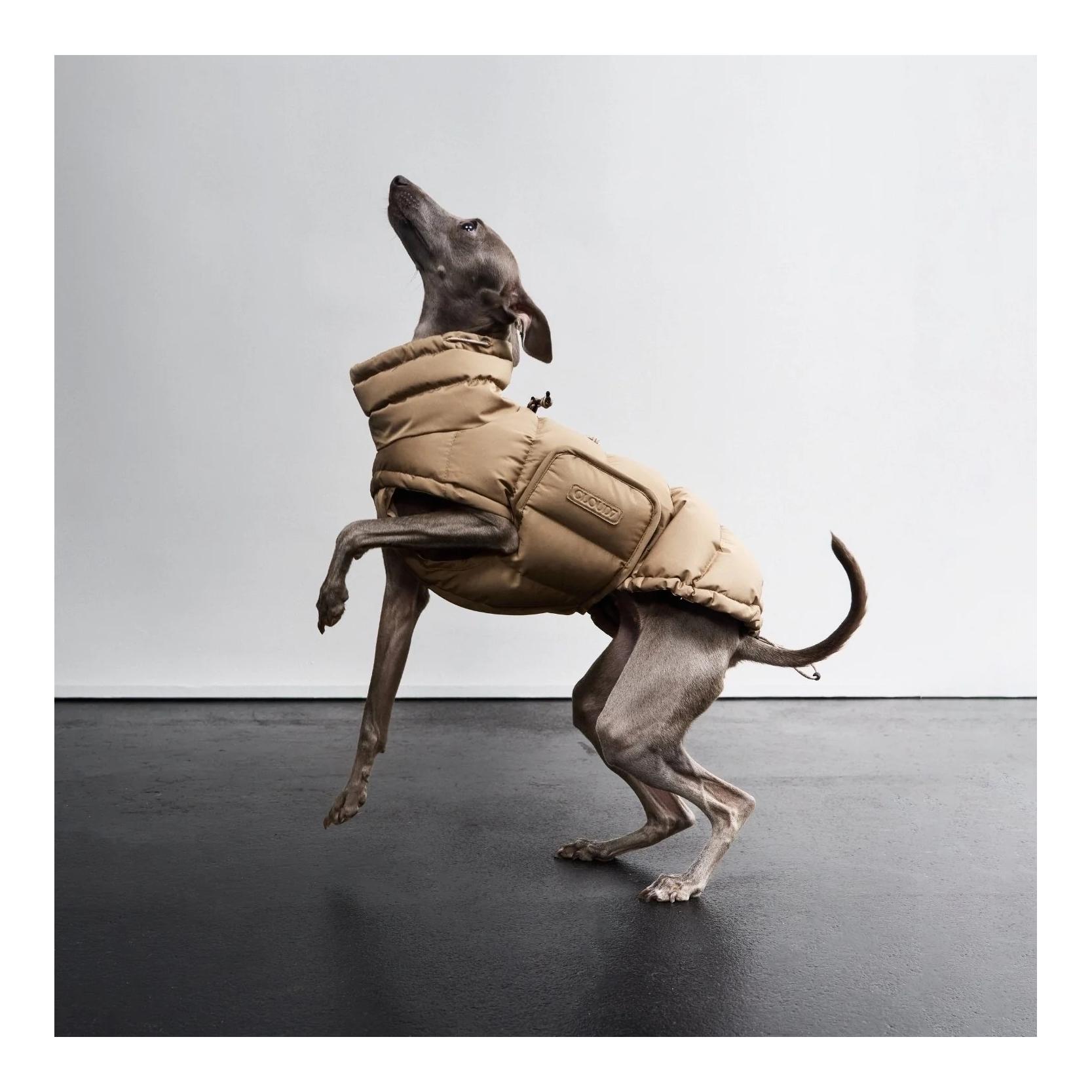 Cloud 7 Manteau d'hiver pour chien Alaska Regular