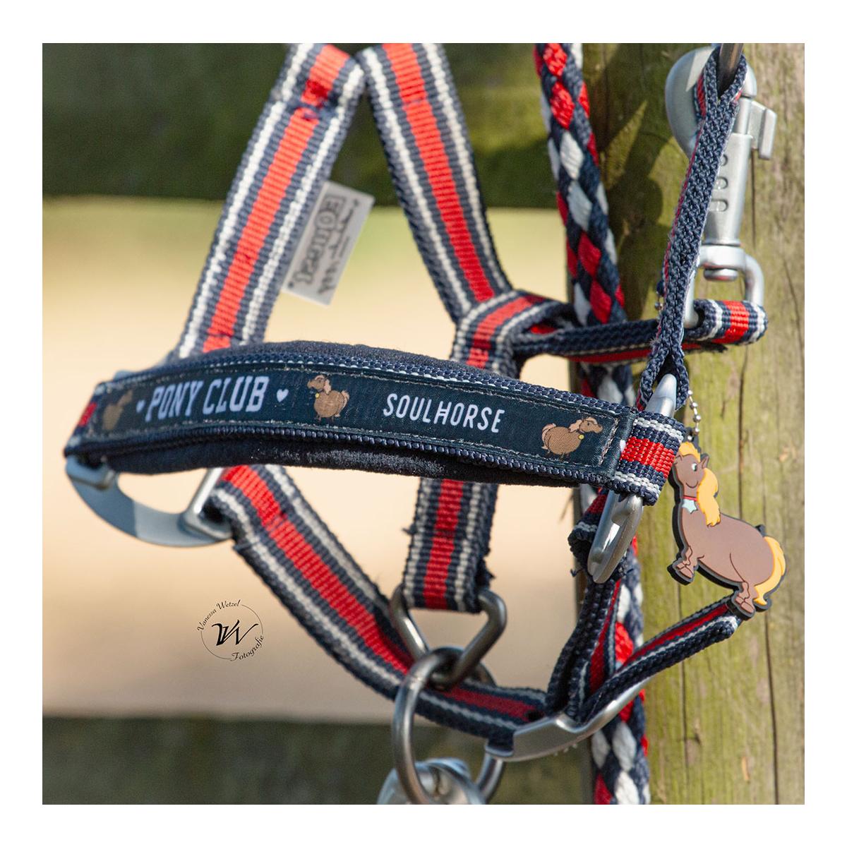 Soulhorse Halfter Dual Alu "Pony Club"