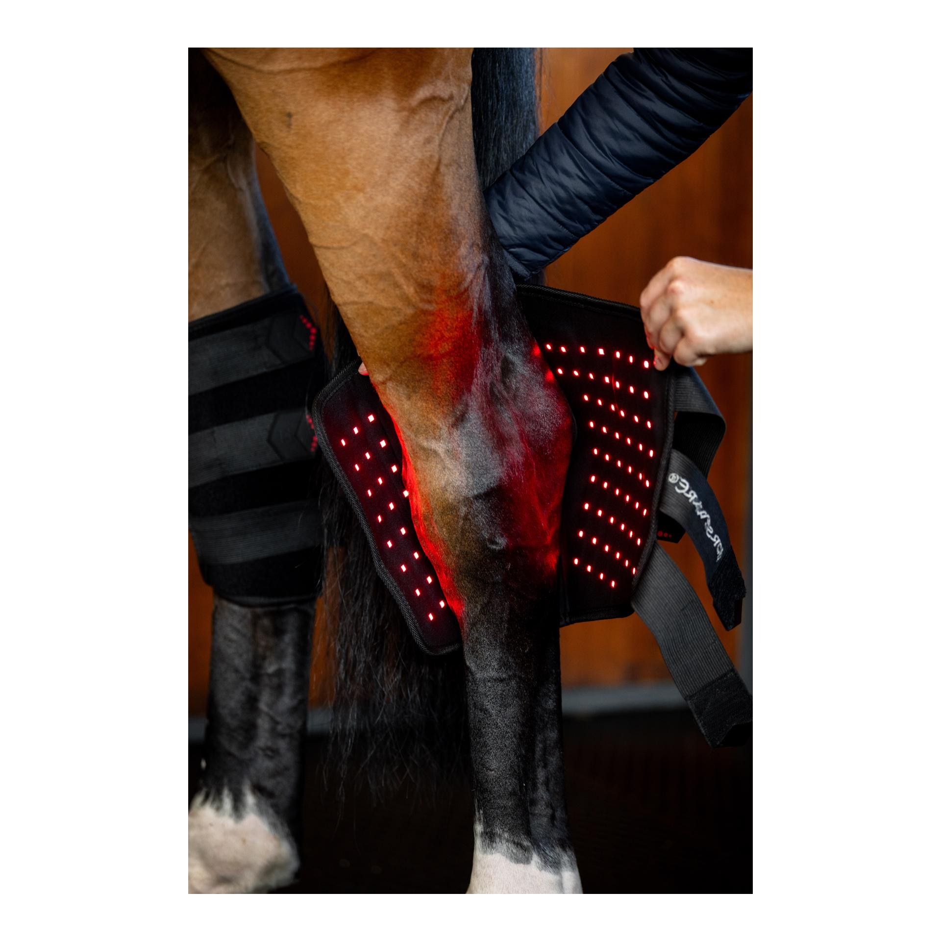 Horseware Horseware LED Red Light Therapy
Hock Boots Pair