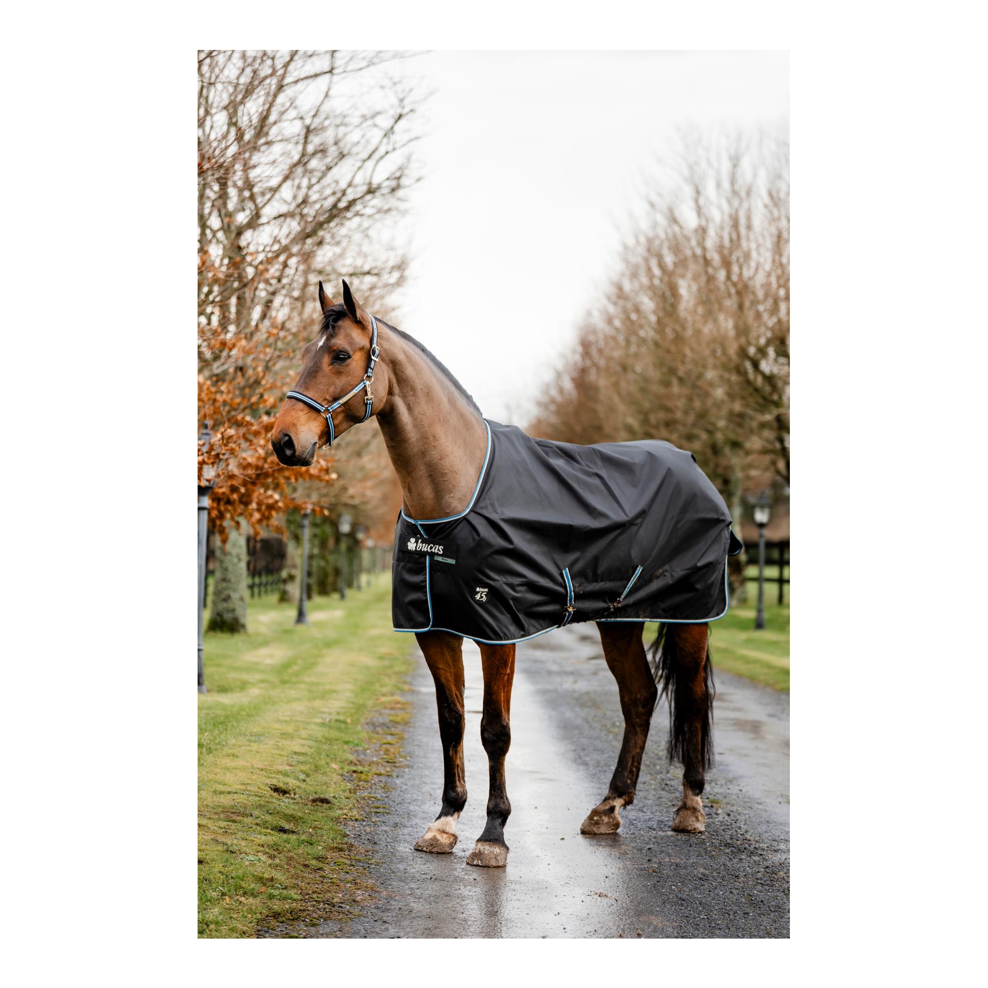 Bucas Couverture d'extérieur Anniversary Turnout 150g SD