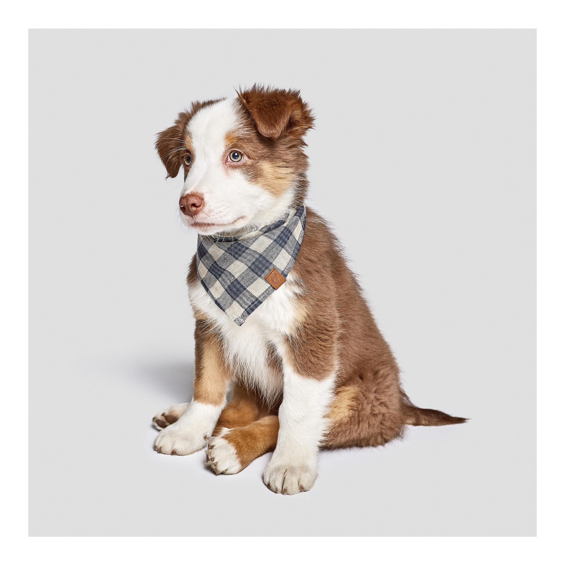 Cloud 7 Bandana Check - bleu / beige