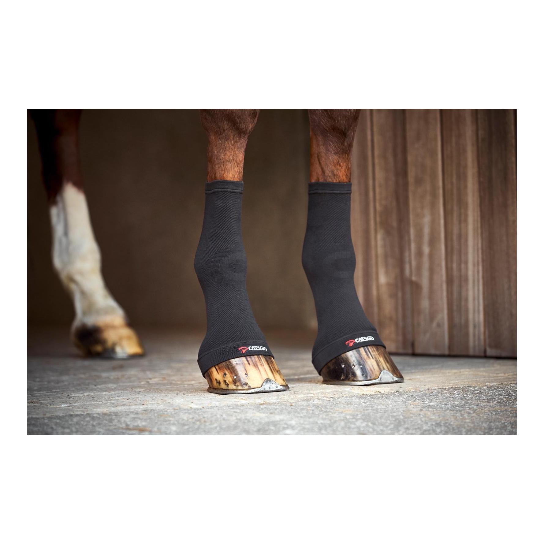 Catago Fesselgelenksocken FIR-Tech