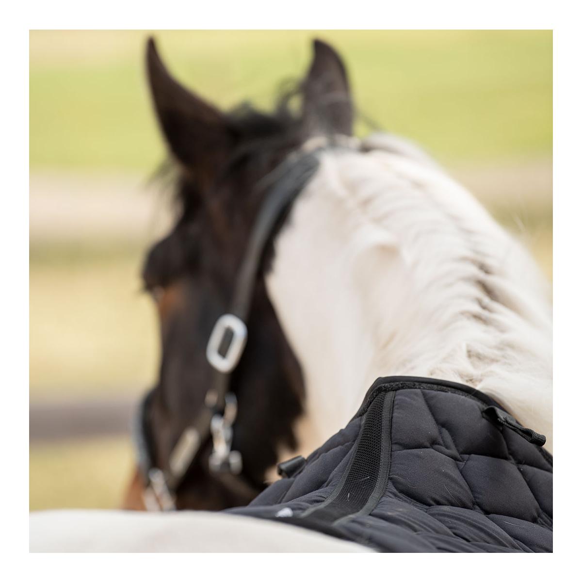 Soulhorse Schabracke Dressur "Black Glitter"