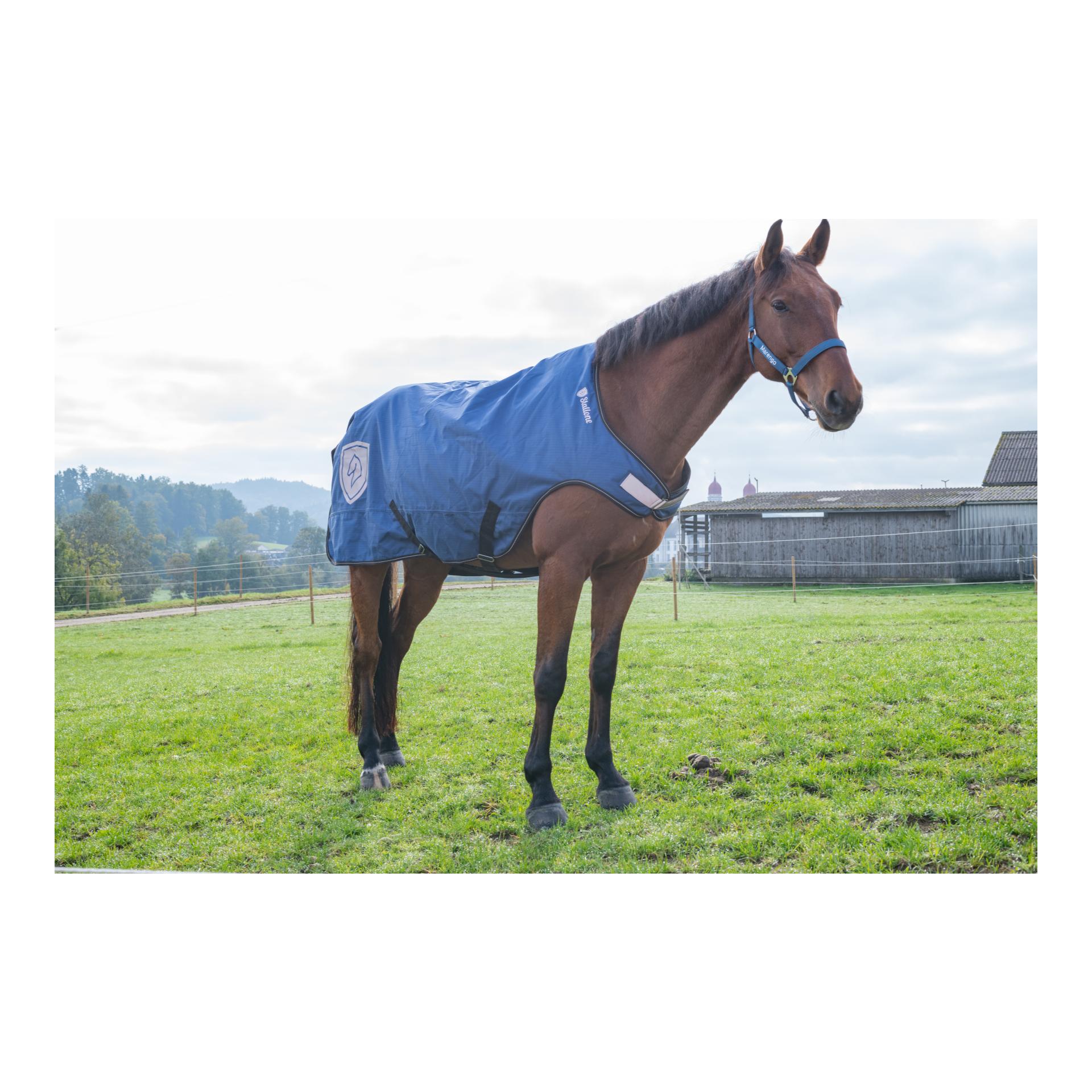 Stallone Walker Rug 100 g