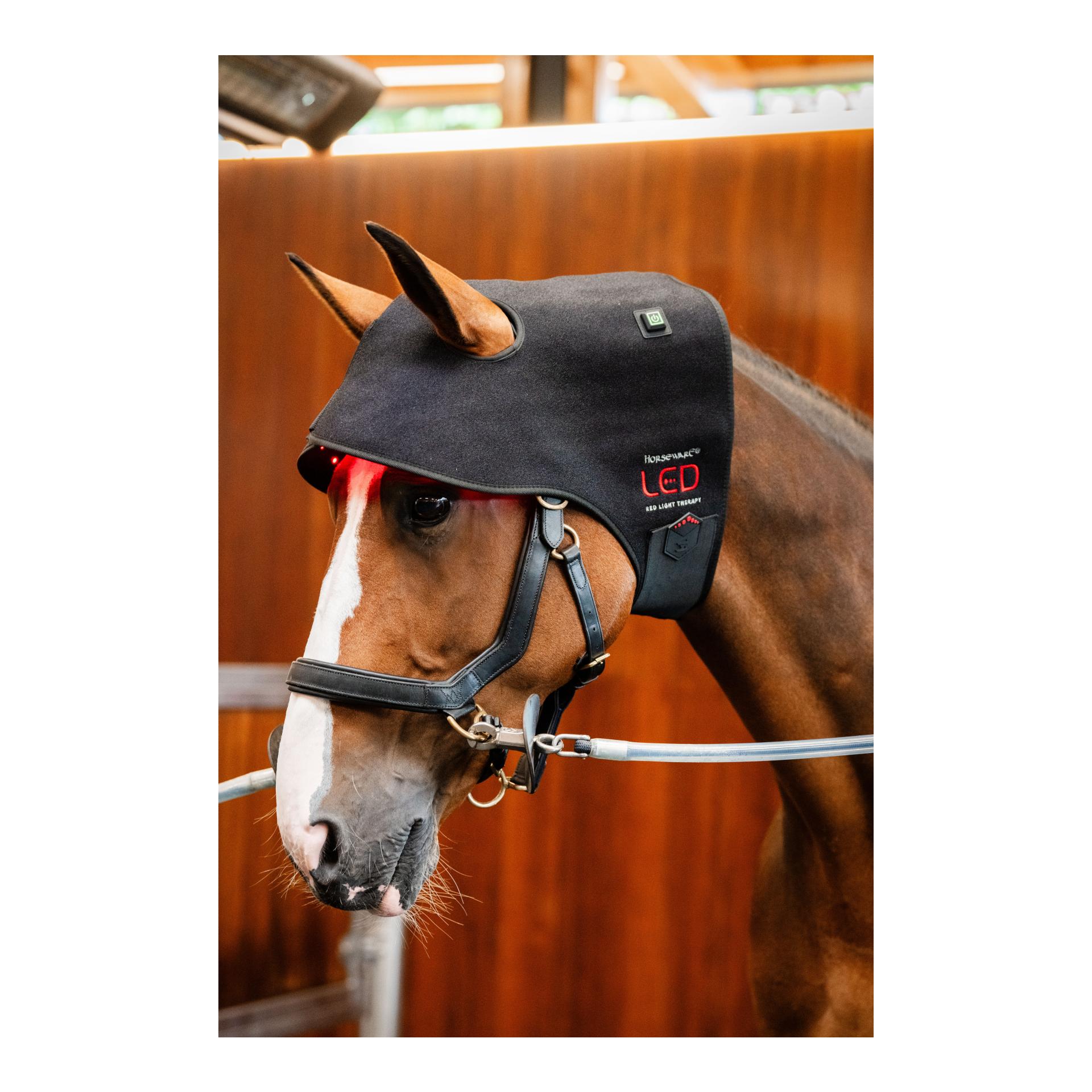 Horseware LED Red Light Therapy Poll Cap