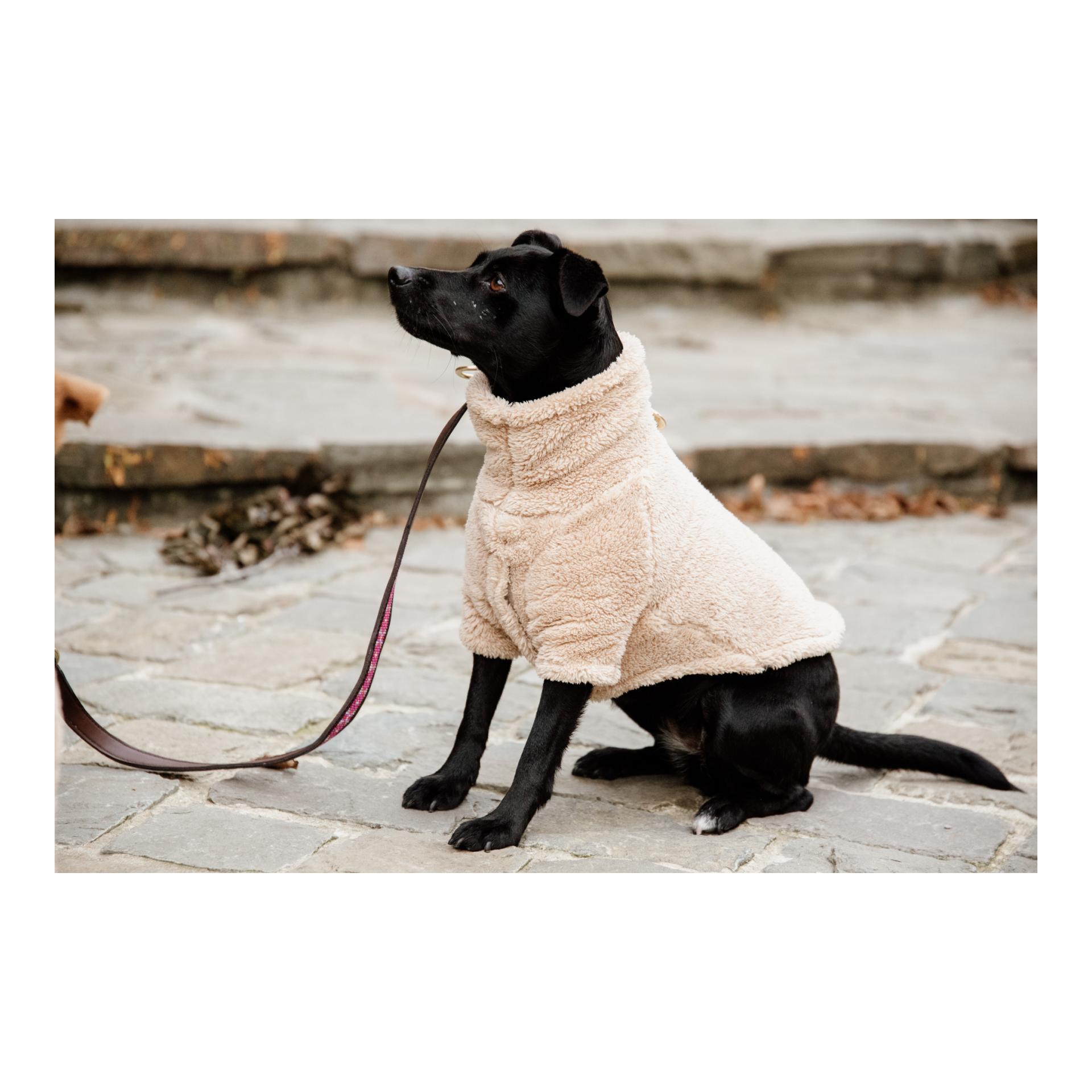 Kentucky Dogwear Pull pour chien Teddy Fleece - beige