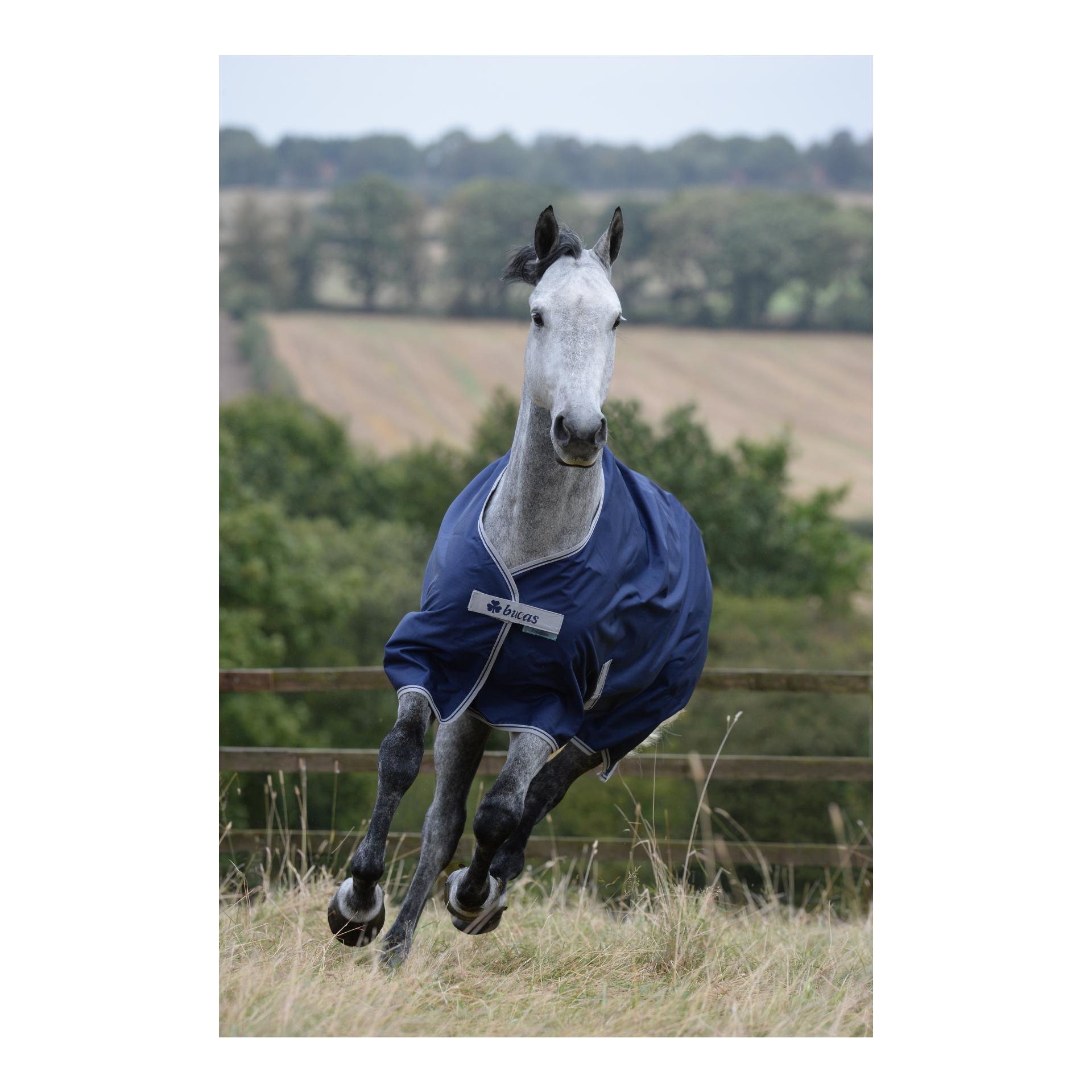 Bucas Couverture d'hiver FREEDOM Turnout 150g - bleu marine/argent