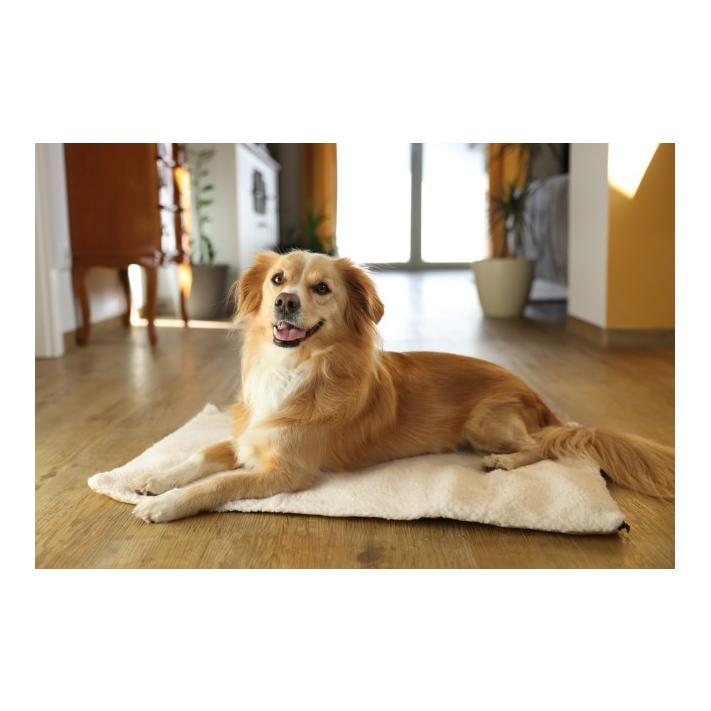 Kerbl Pet Coussin chauffant