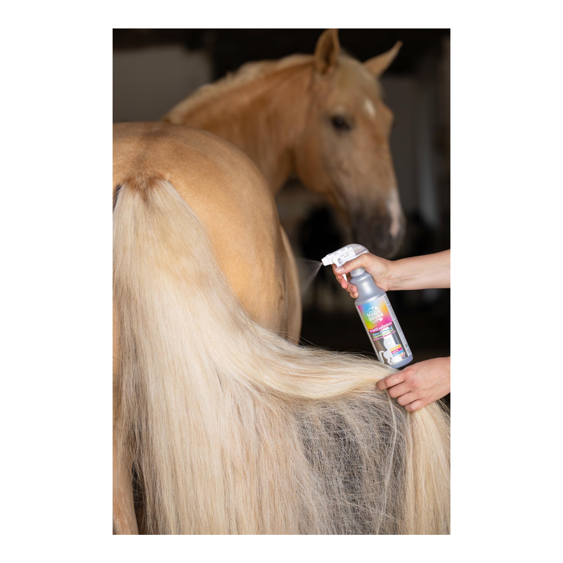 MagicBrush ManeCare Premium Fellglanzspray FruitExplosion