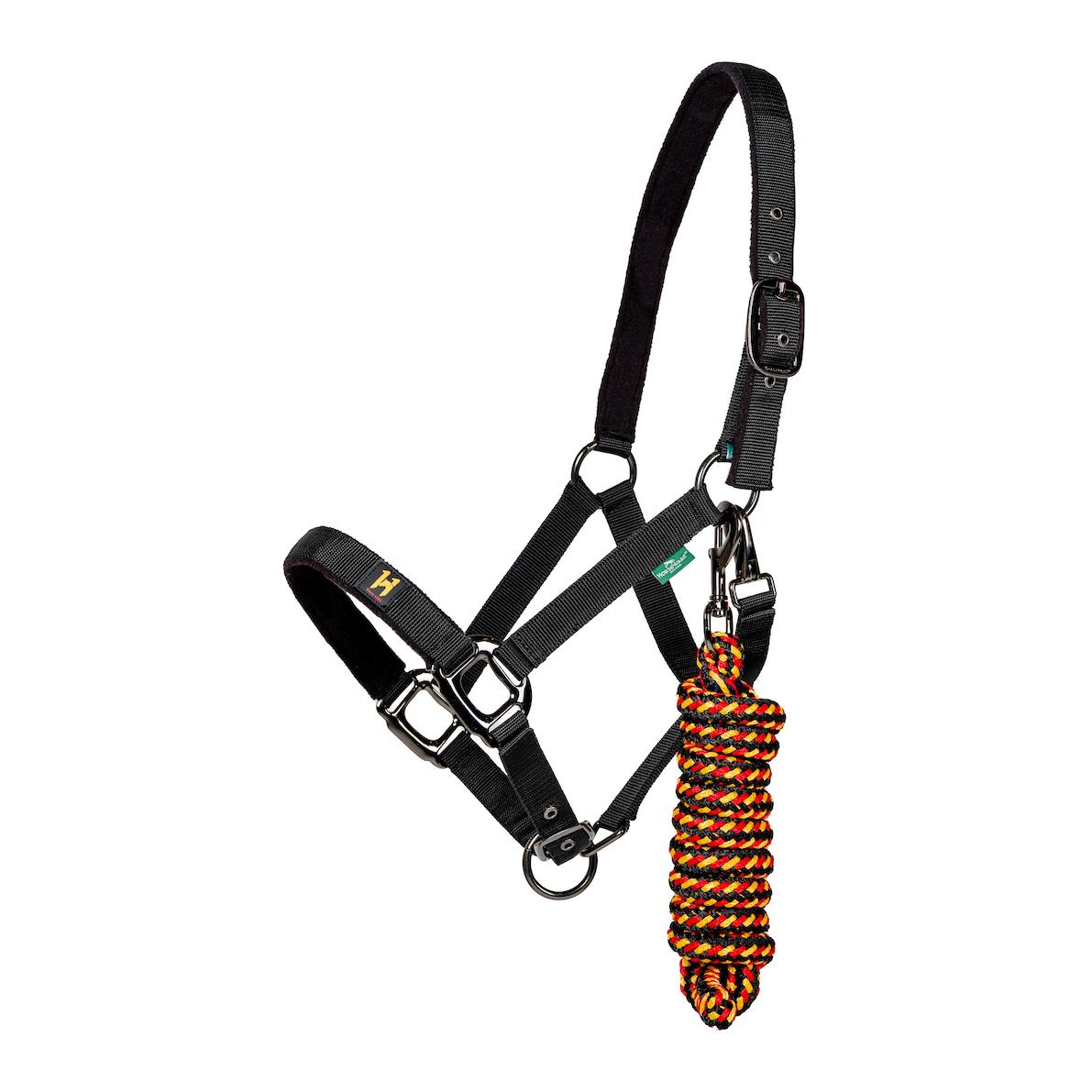 Horseware Halfter und Führstrick Newmarket