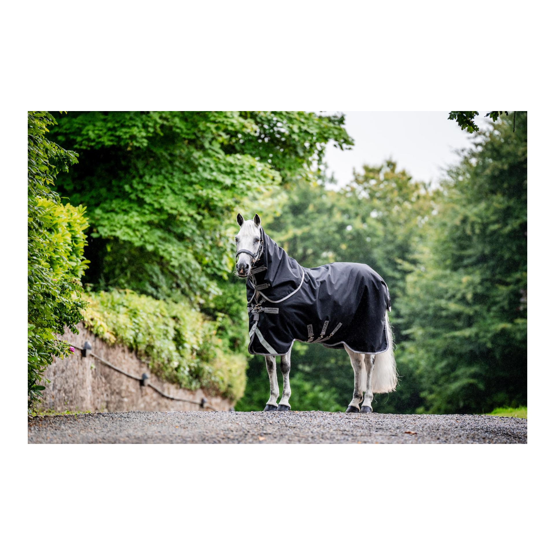Horseware Weidedecke Amigo Bravo 12 Plus Bundle (50g Aussendecke mit 100g und 200g Liner)