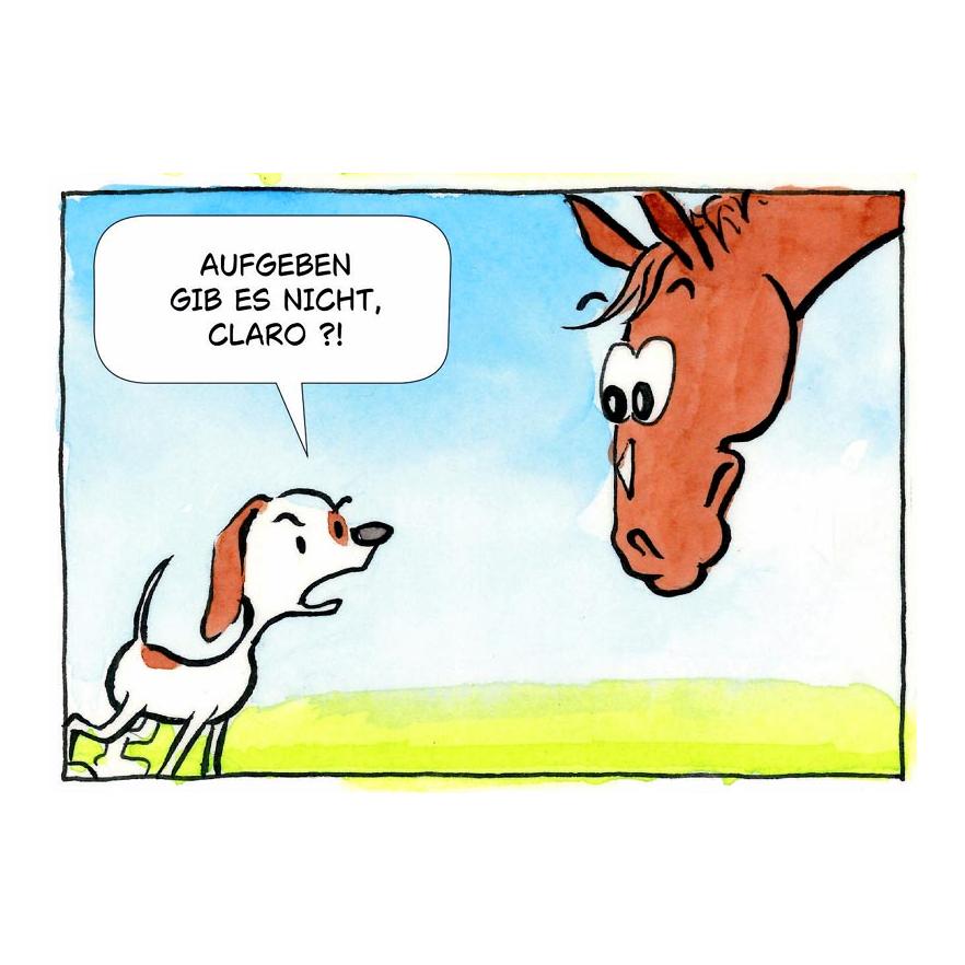 reitsport.ch Comicbuch Hardcover 64 Seiten: Ich bin Lumpi