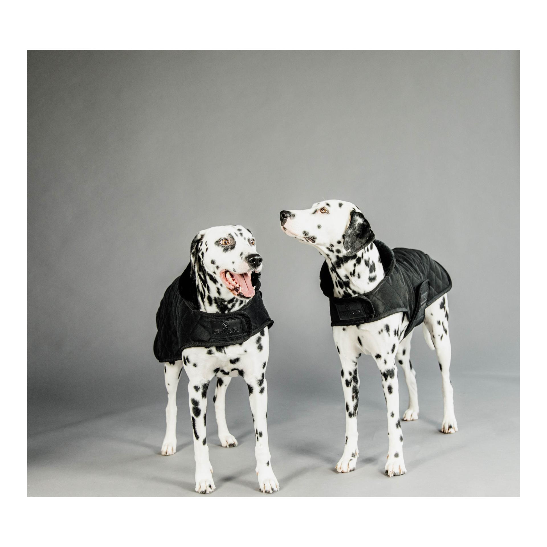 Kentucky Dogwear Hundemantel Original - black/black