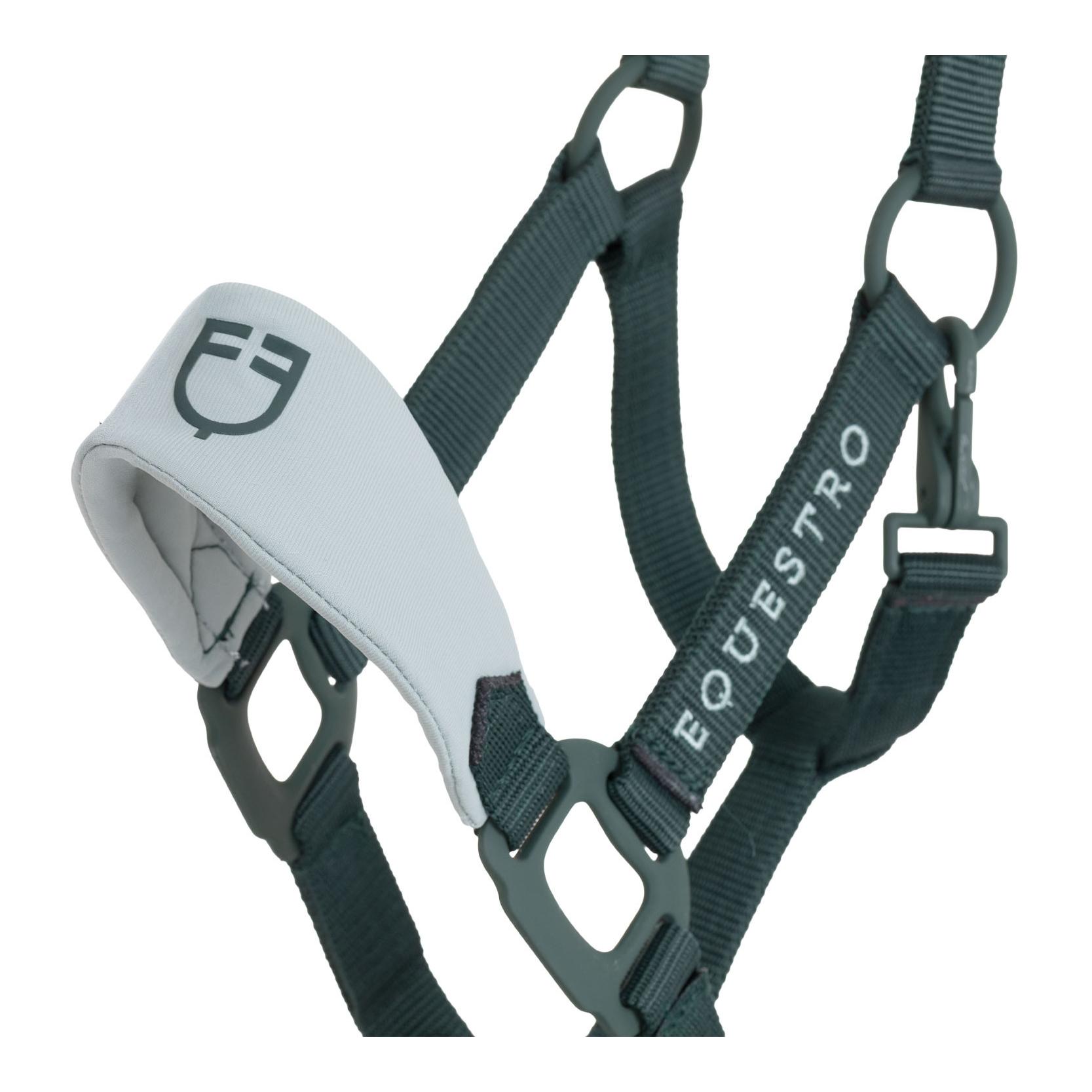 Equestro Licol avec boucles recouvertes de caoutchouc