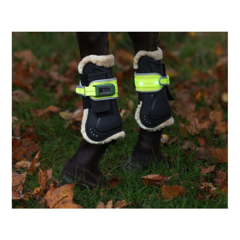 Covalliero Leuchtgamasche LED, paarweise