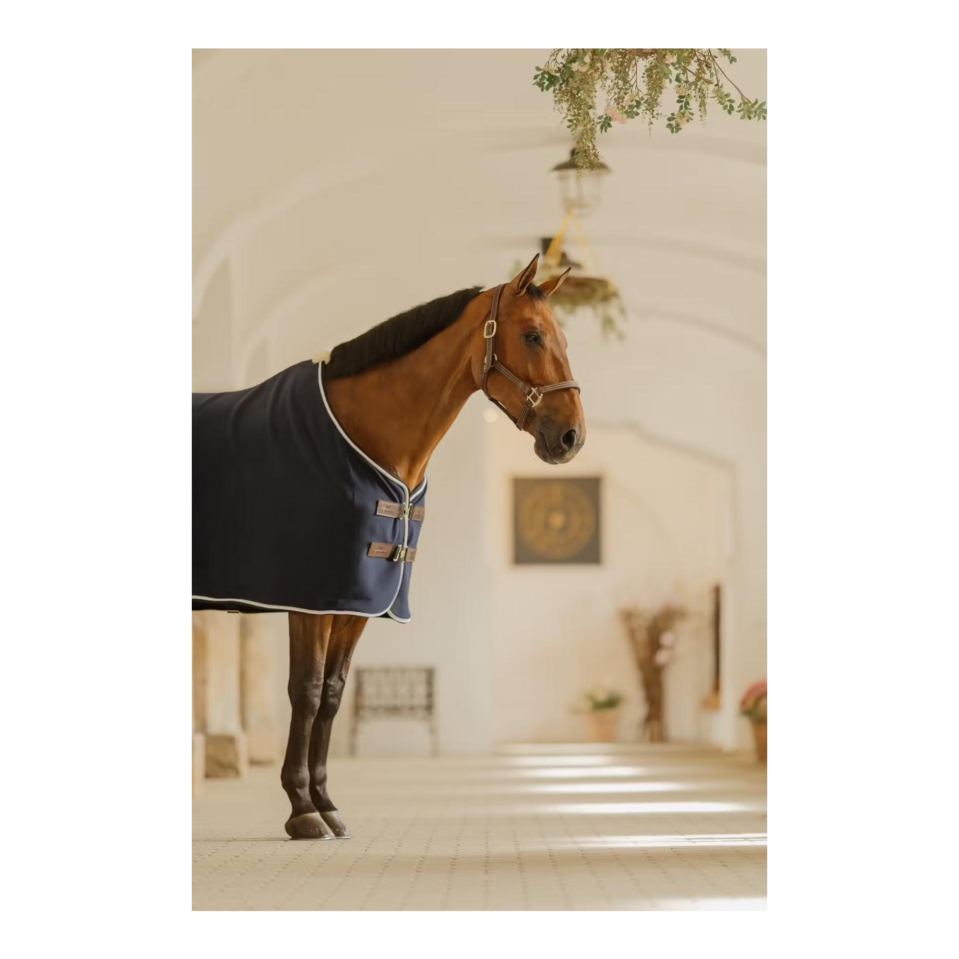 Kentucky Abschwitzdecke Show vegan wool