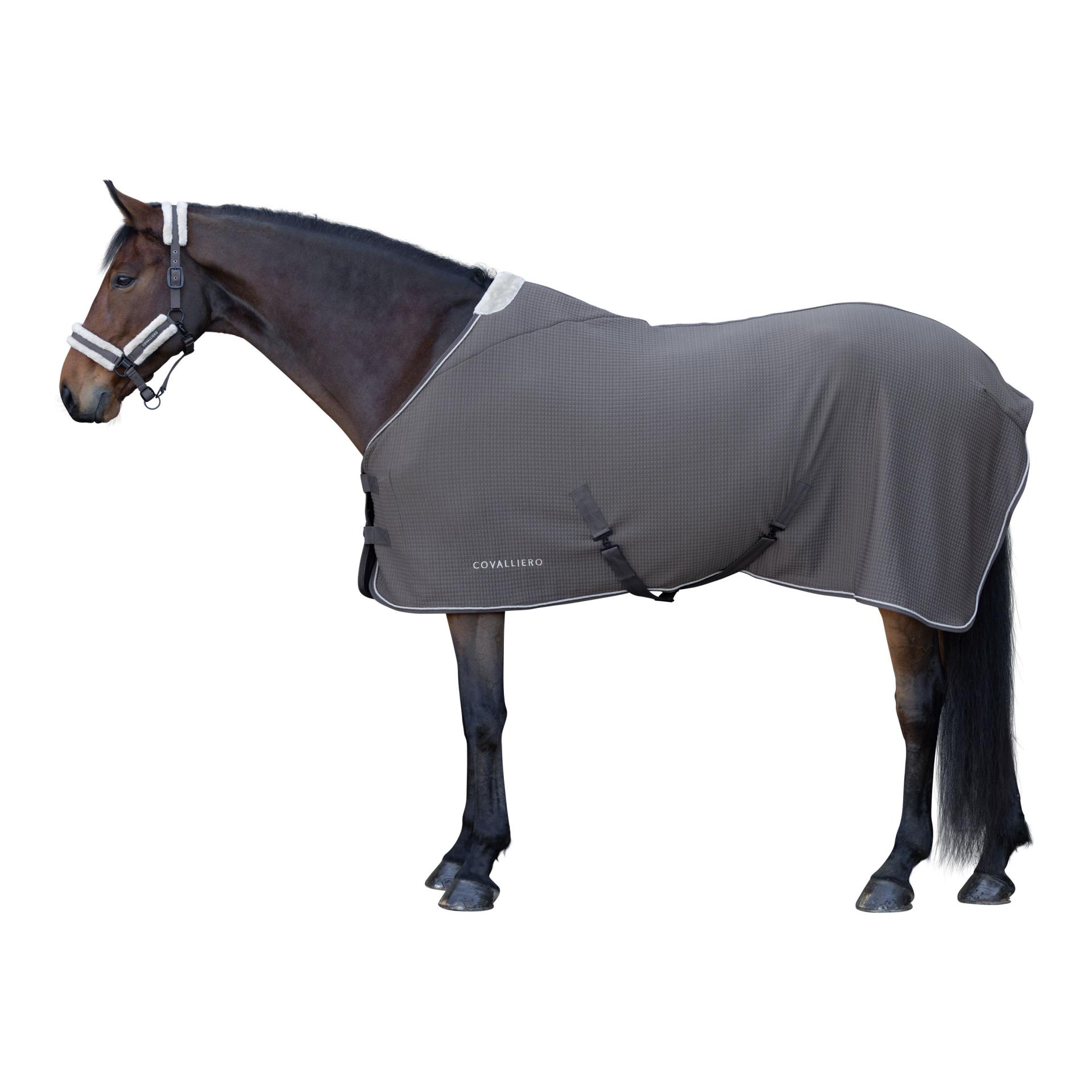 Covalliero Couverture séchante Premium A/H 2026