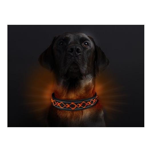 Leucht-Hundehalsband "Beauty"