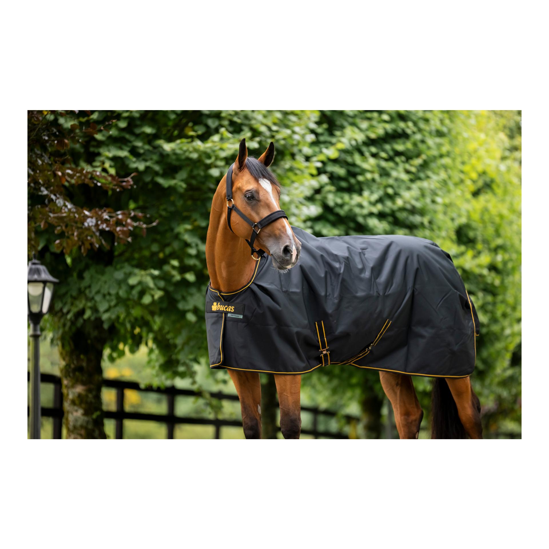 Bucas Irish Turnout Ligth Classic 50g Isolation - noir/doré