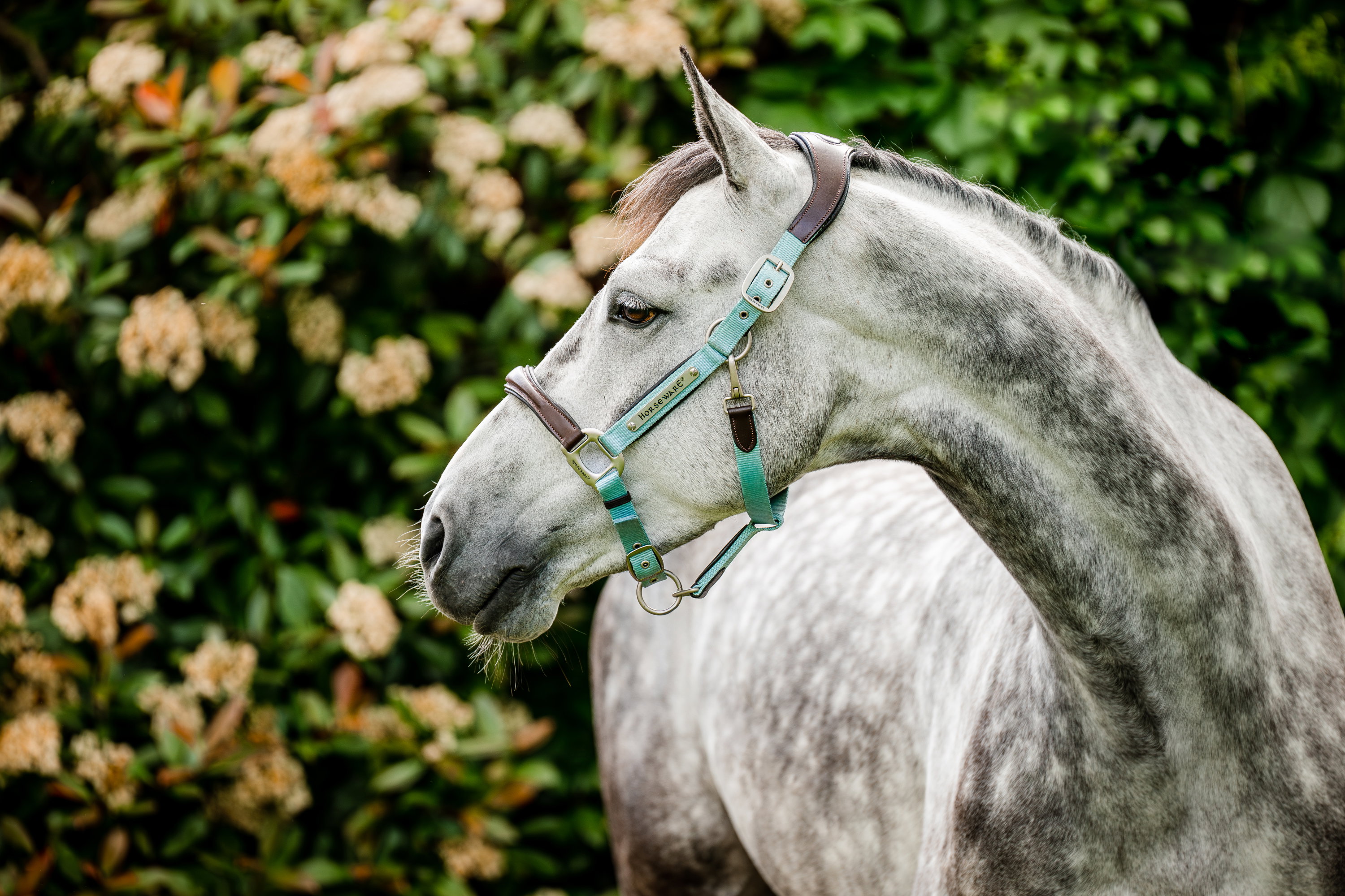 Horseware Halfter Signature Braided