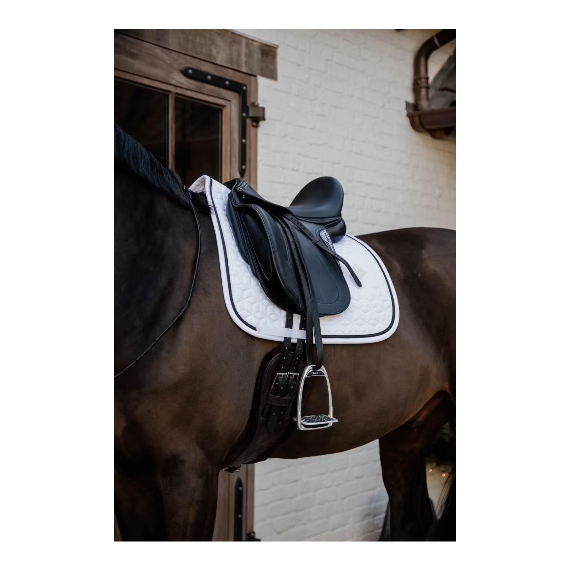 Kentucky Schabracke glitter rope dressage