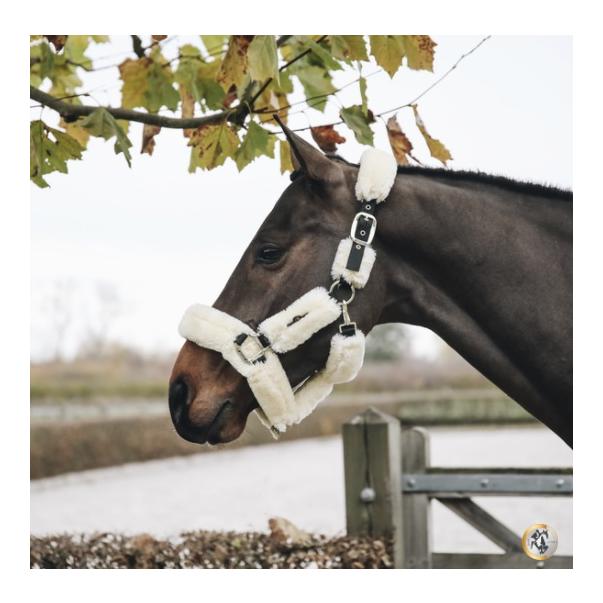 Kentucky Halfter Lammfell - naturel