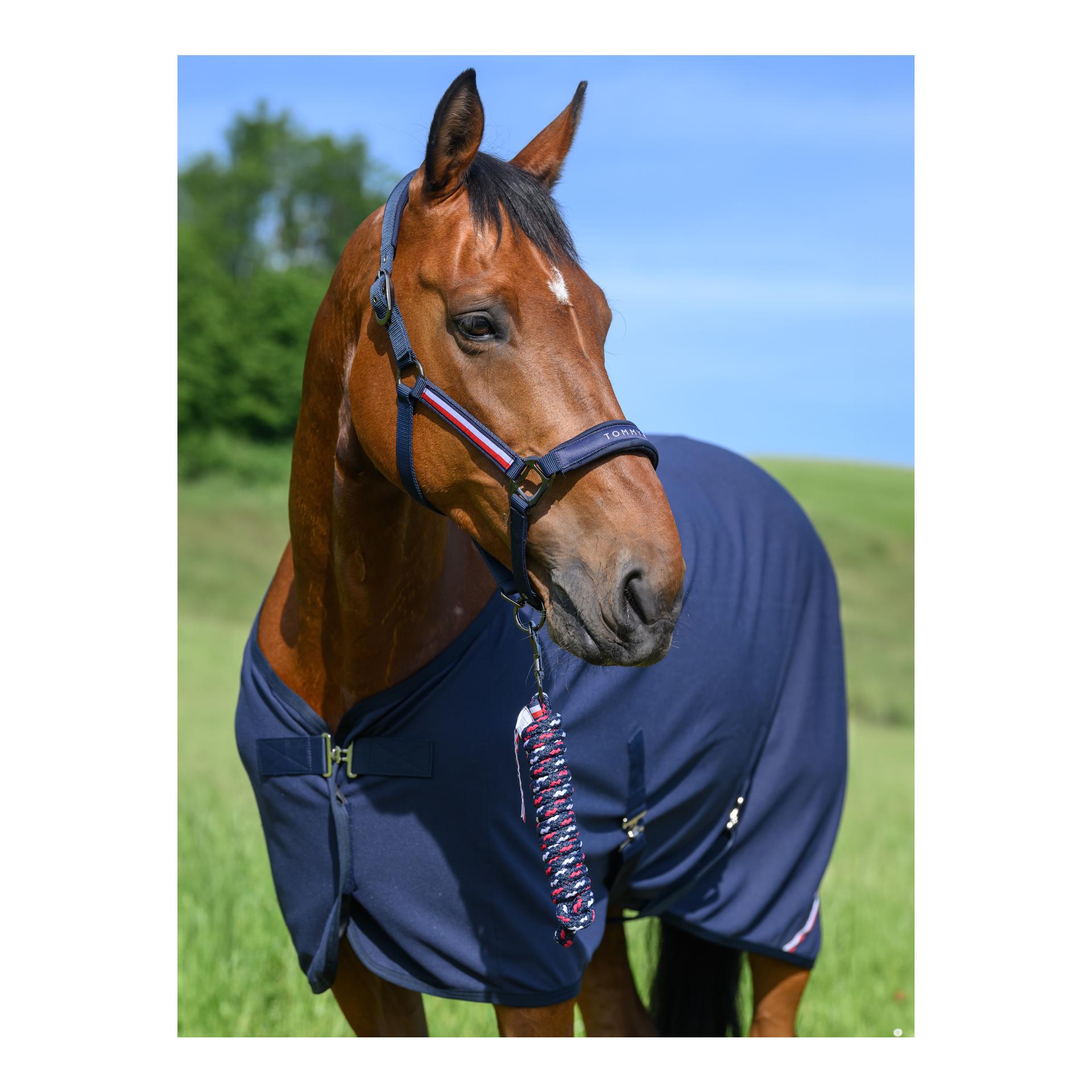 Tommy Hilfiger Equestrian 11x Ensemble licol et longe Yale
