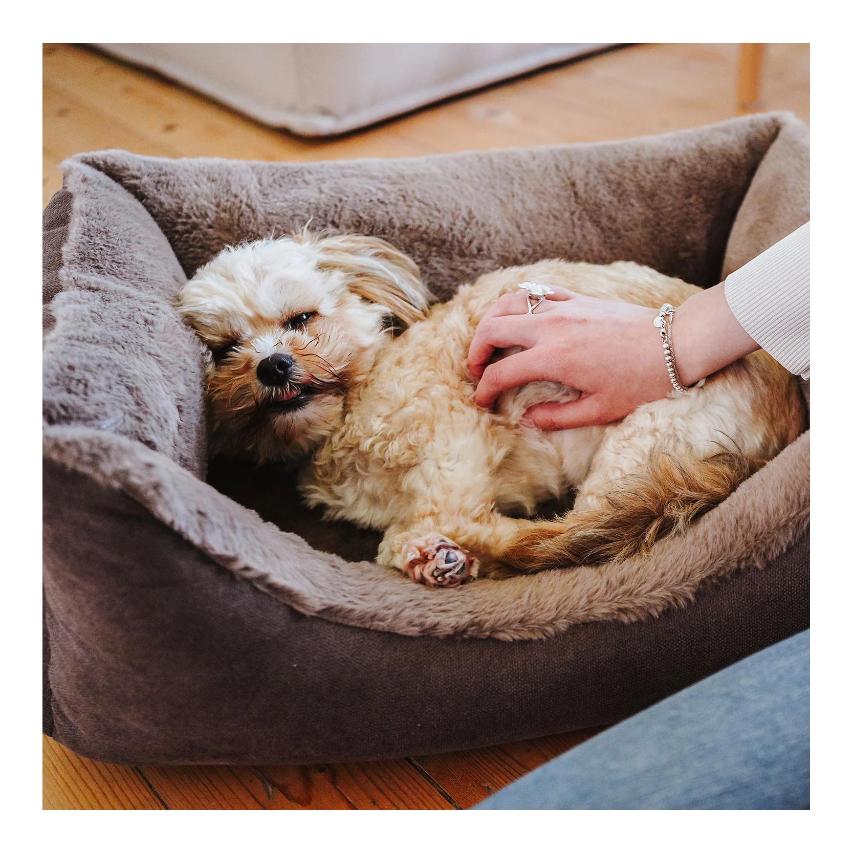 Hunter Orthopädisches Hundebett Rockford