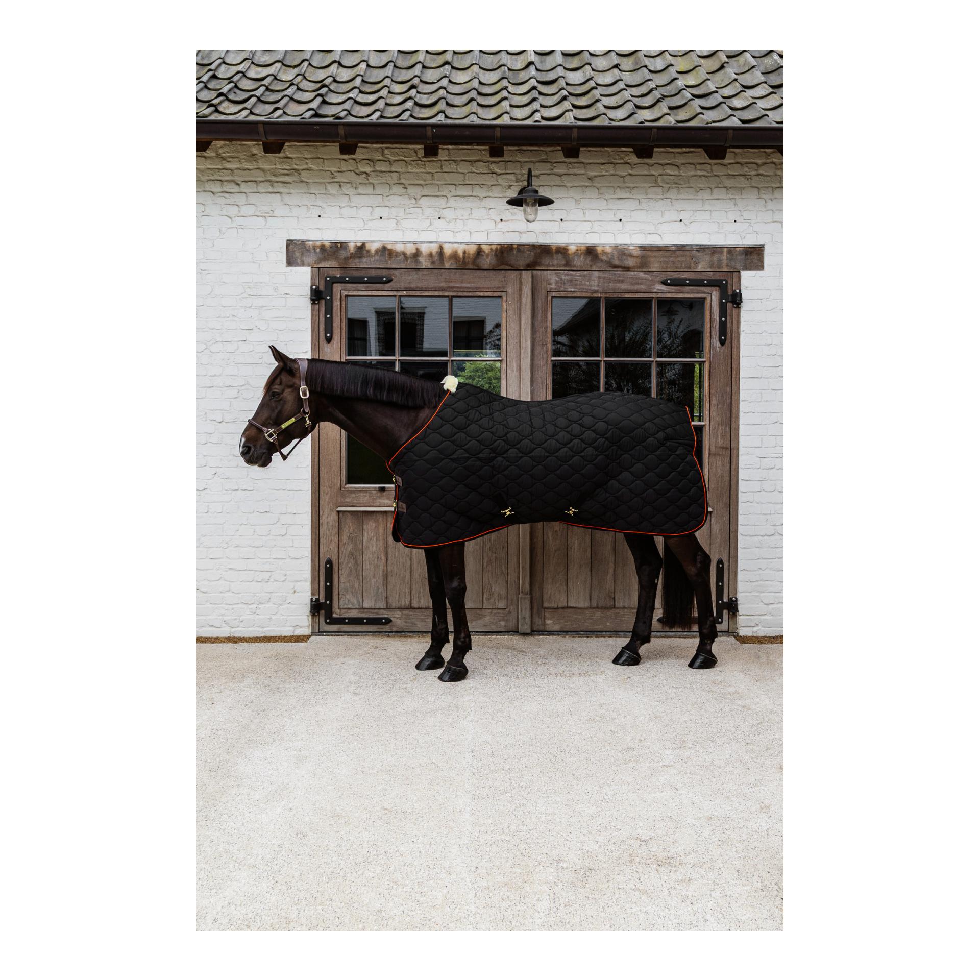 Kentucky Couverture d'écurie Wave 160g