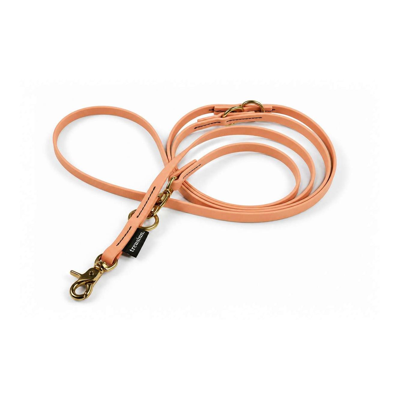 Treusinn. Laisse pour chien Biothane STAY réglable, 2m