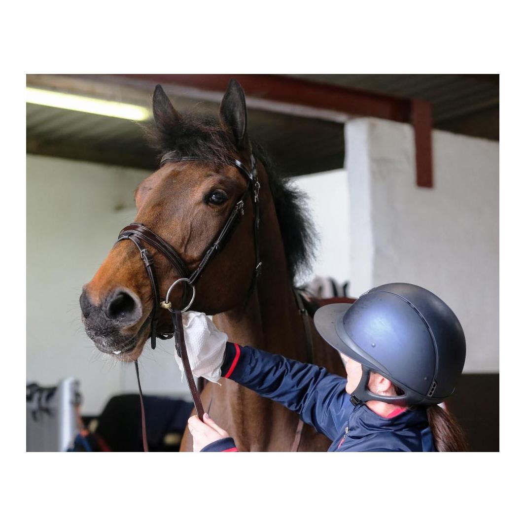 Carr & Day & Martin Tack Cleaner Handschuh