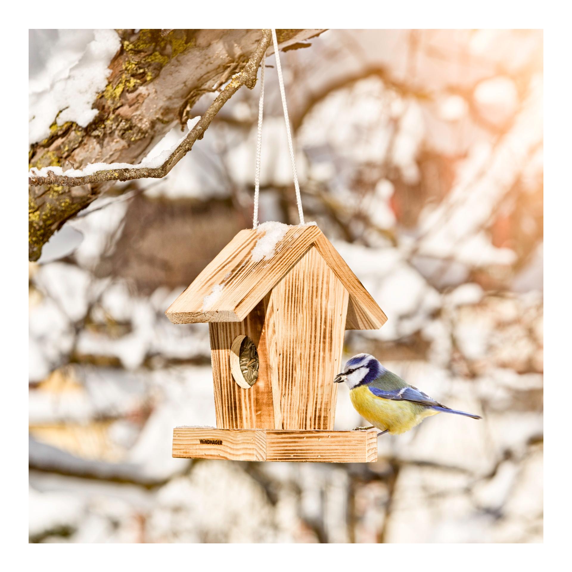Mangeoire pour oiseaux Cottage
