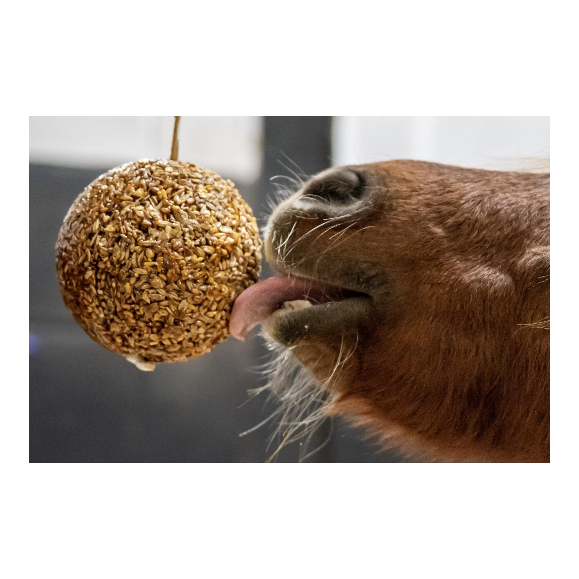 Likit Müslikugel Melasse