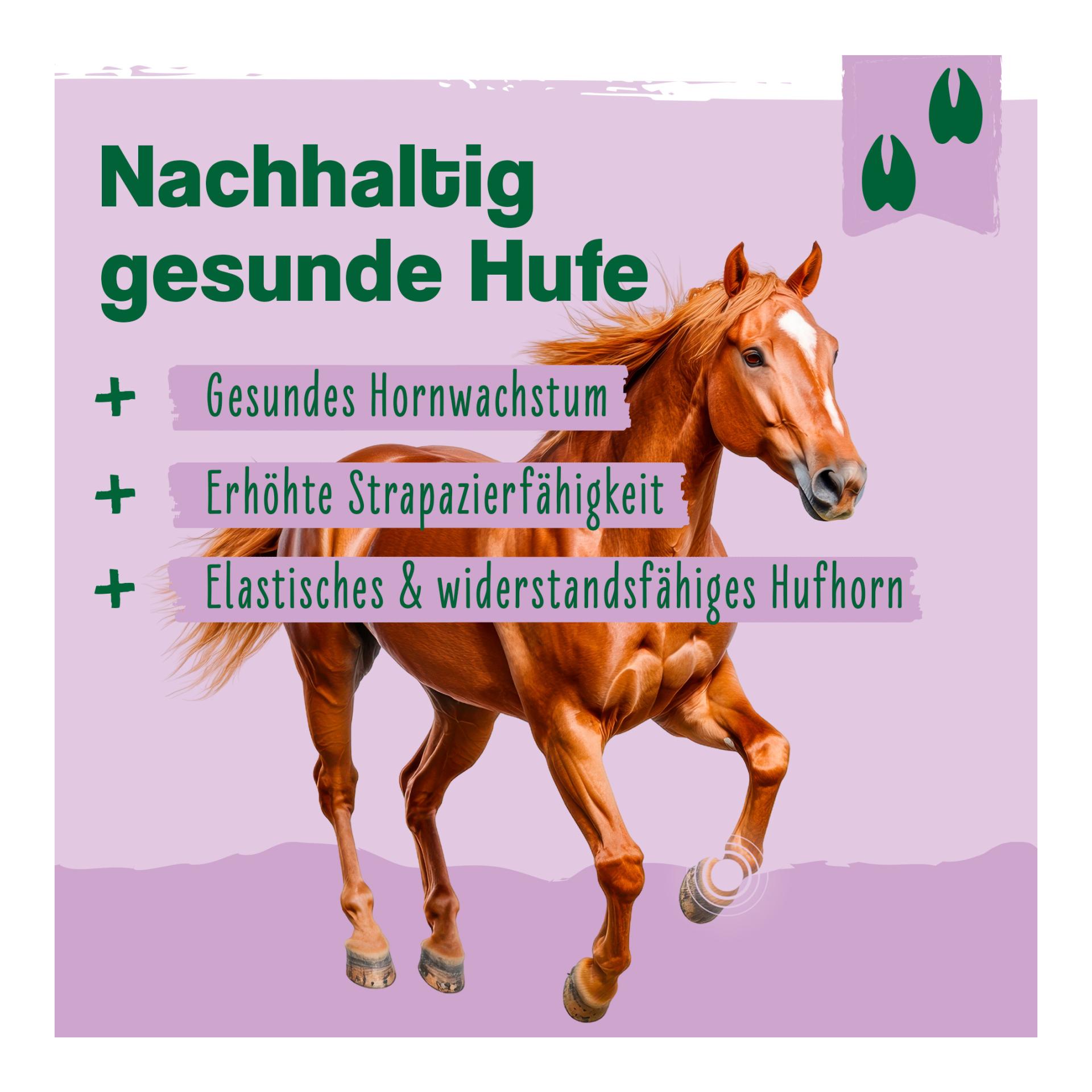 IdaPlus Biotine + zinc pour chevaux - hautement dosé - améliore la qualité et la croissance des sabots