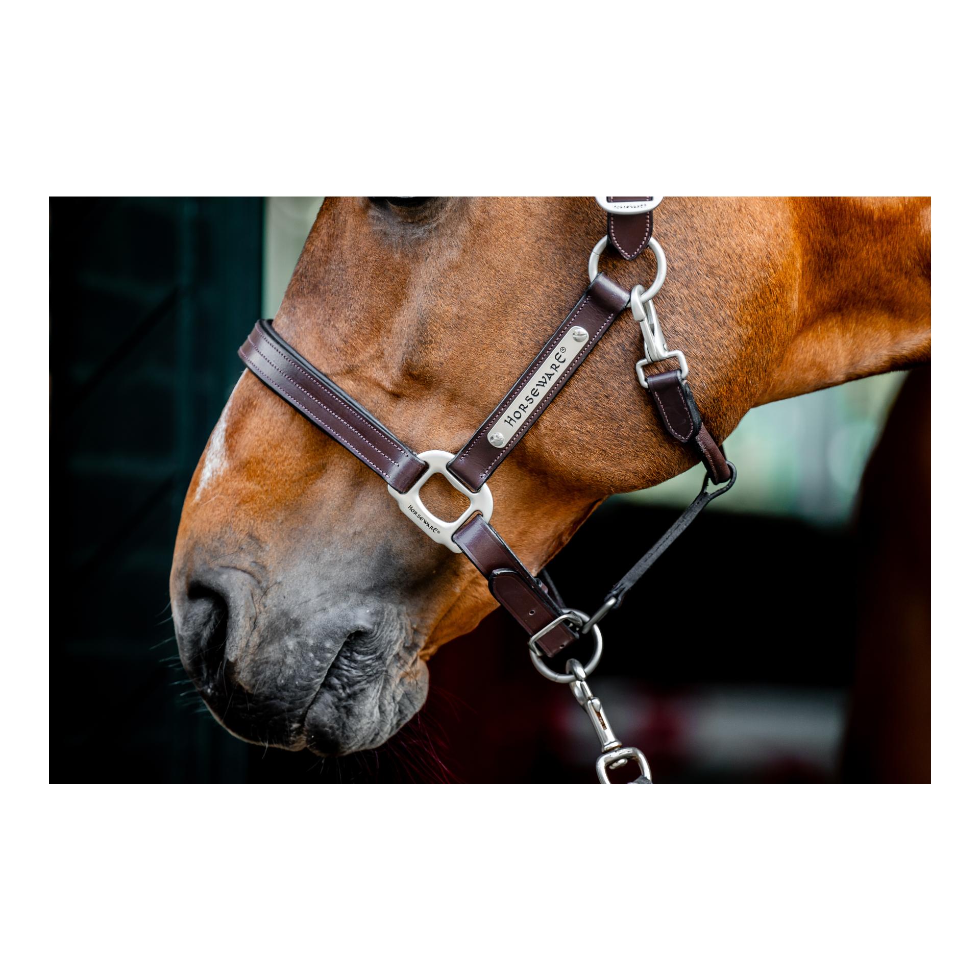 Horseware Lederhalfter Signature