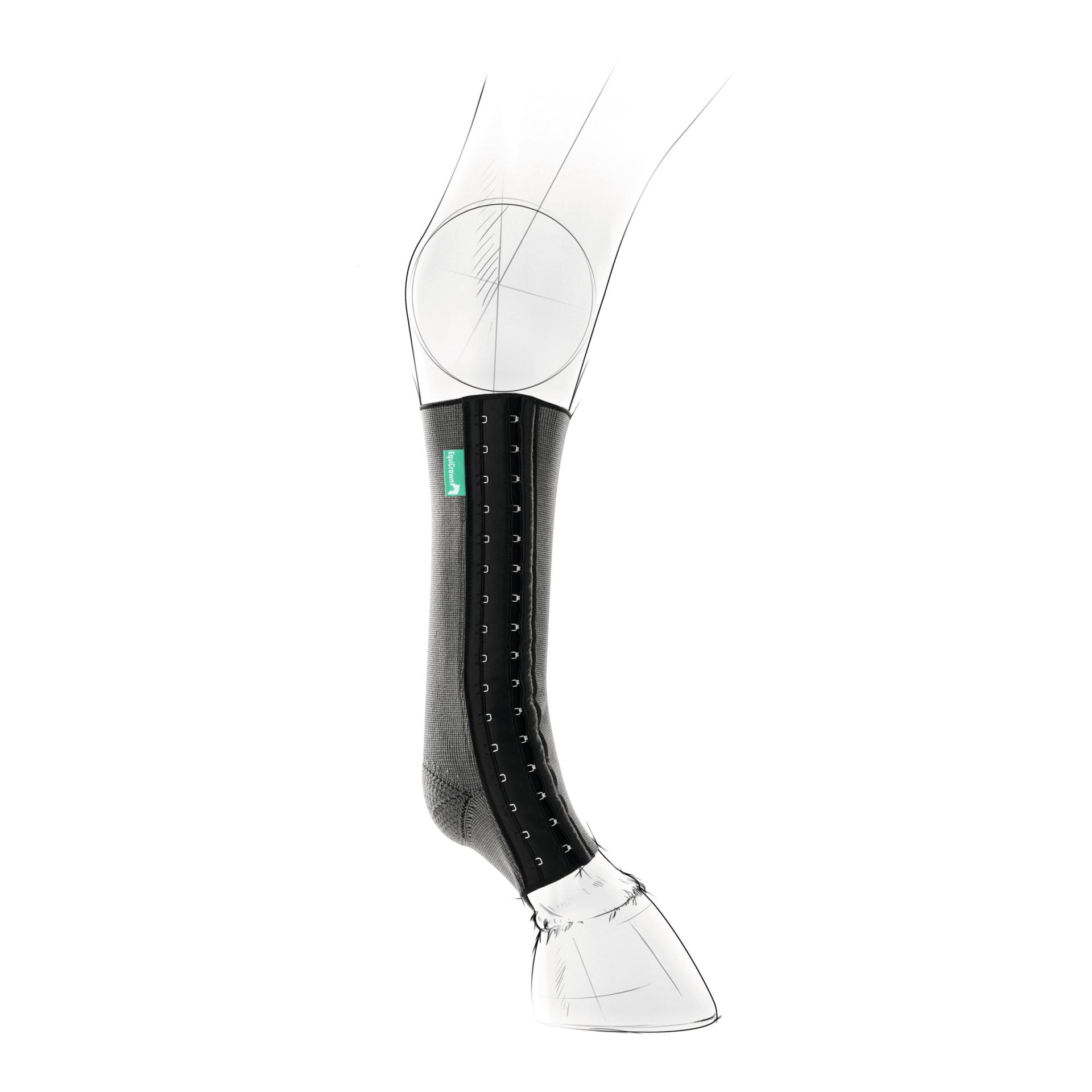 EquiCrown Kompressionsbandage fit - hinten, Silver antibakteriell