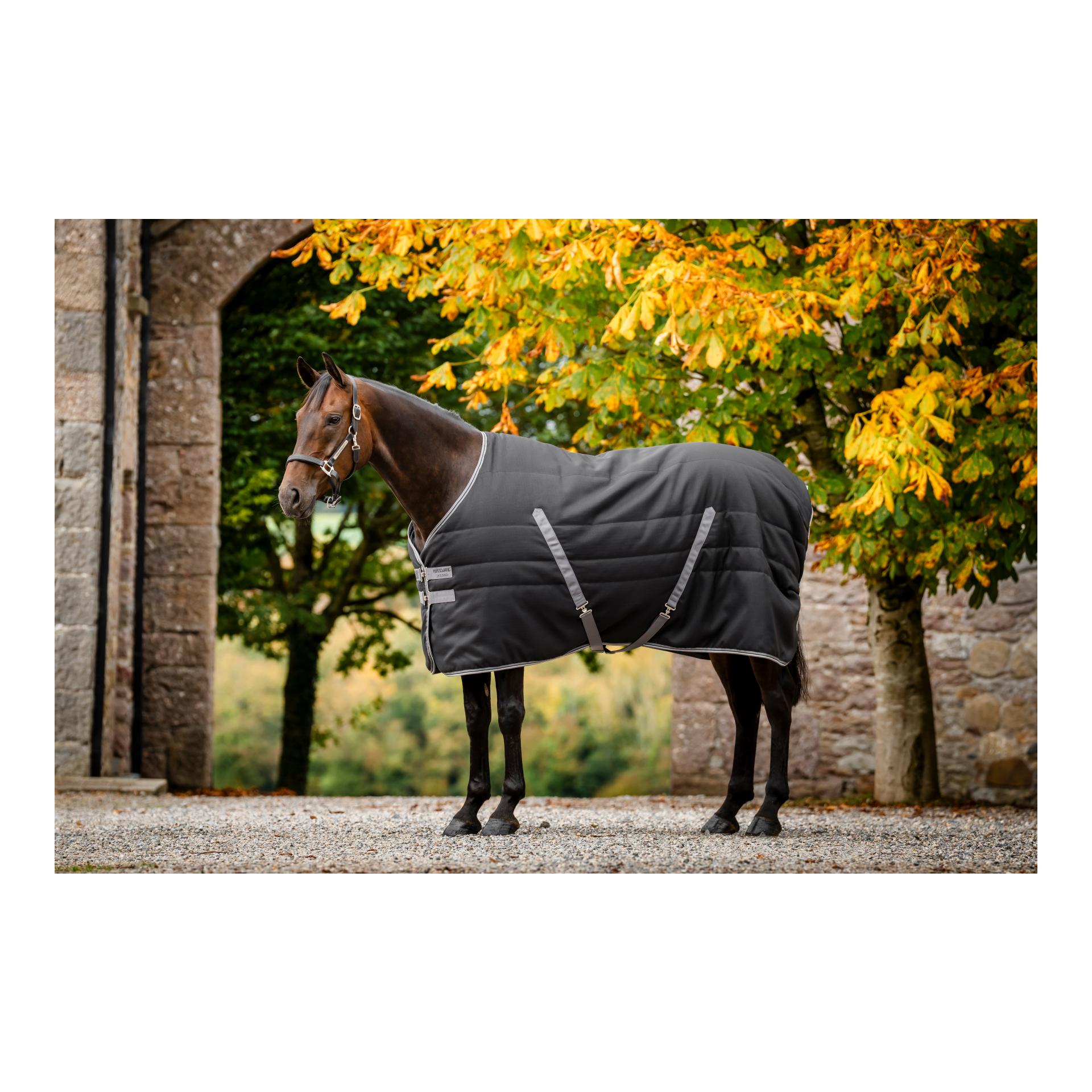 Horseware Rambo Stable 200g