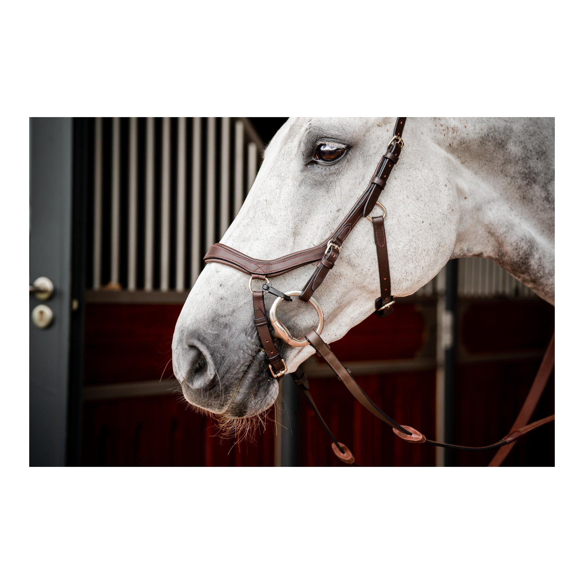 Horseware Bridon Micklem3 Compétition sans rênes