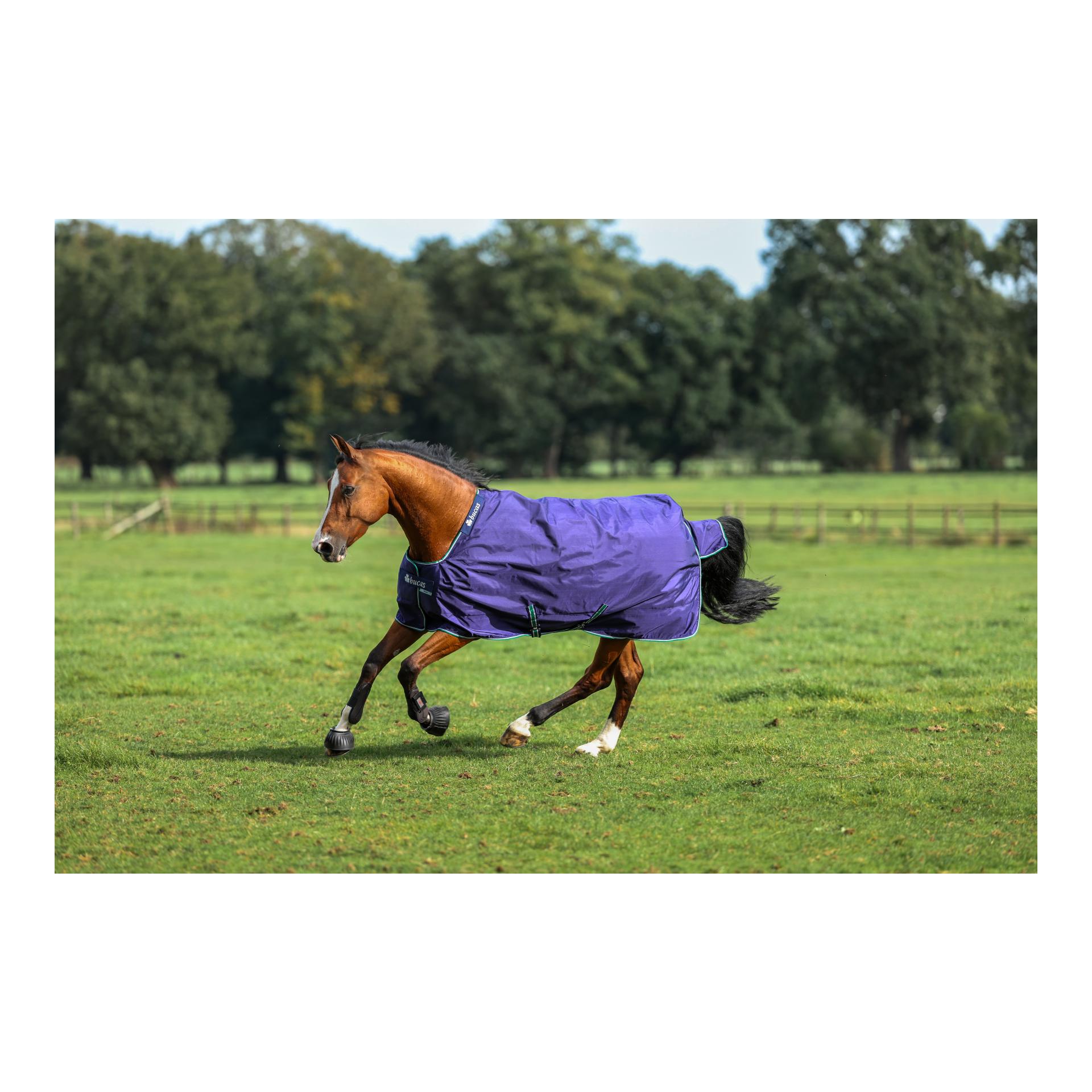 Bucas Weidedecke Smartex Rain - blau