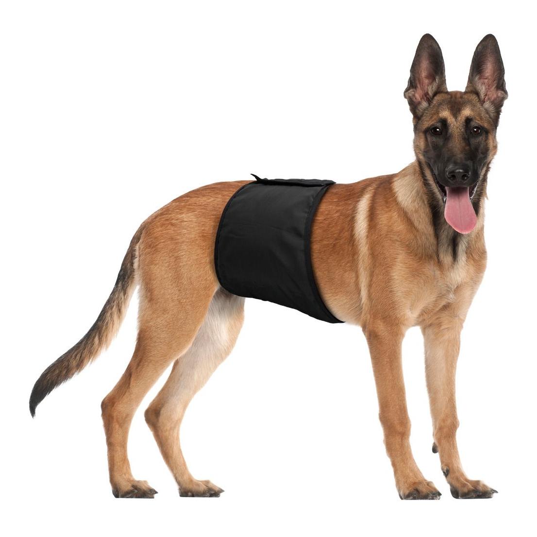 TRIXIE Pantalon de protection pour chien mâle