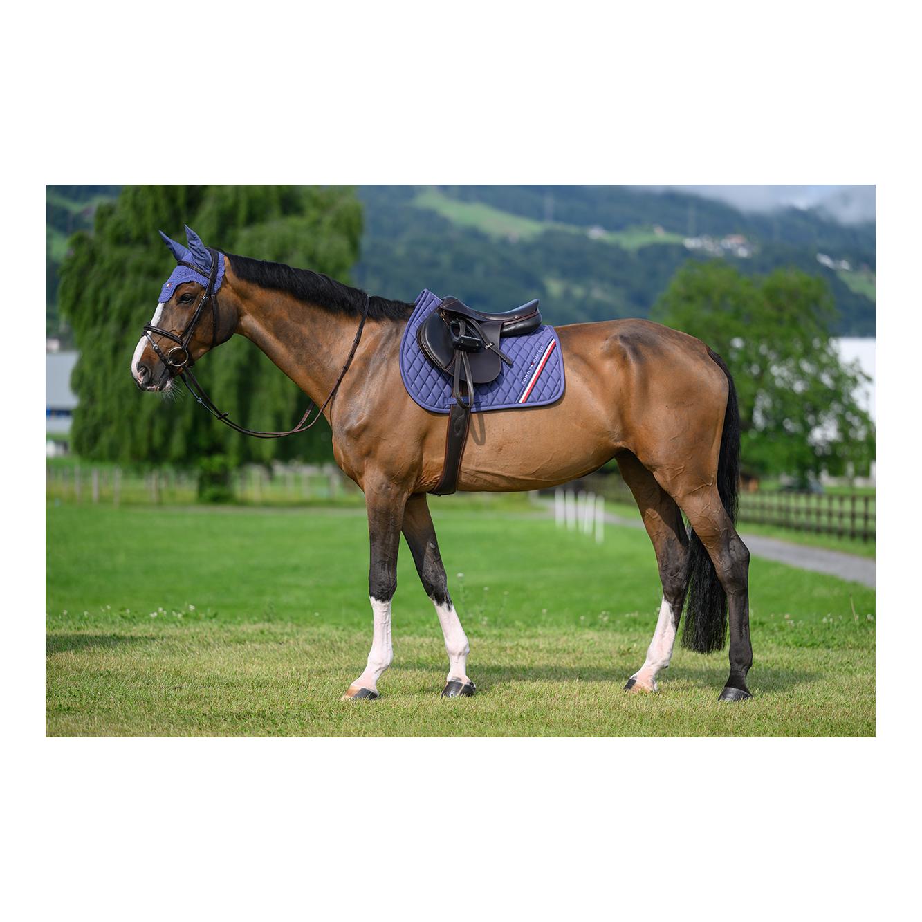 Tommy Hilfiger Equestrian Chabraque de saut d'obstacles Stanford