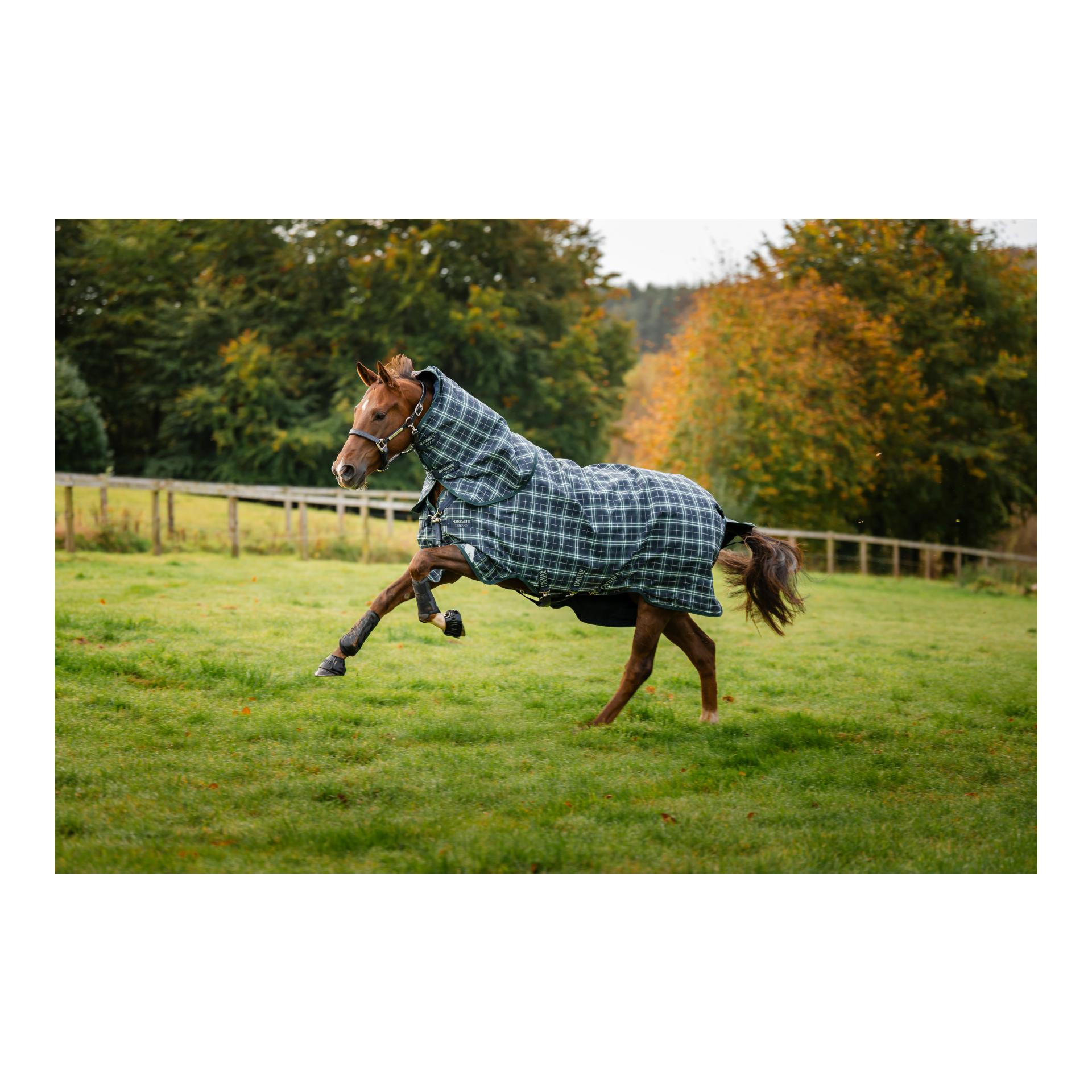 Horseware Weidedecke Rhino Plus Turnout 100g