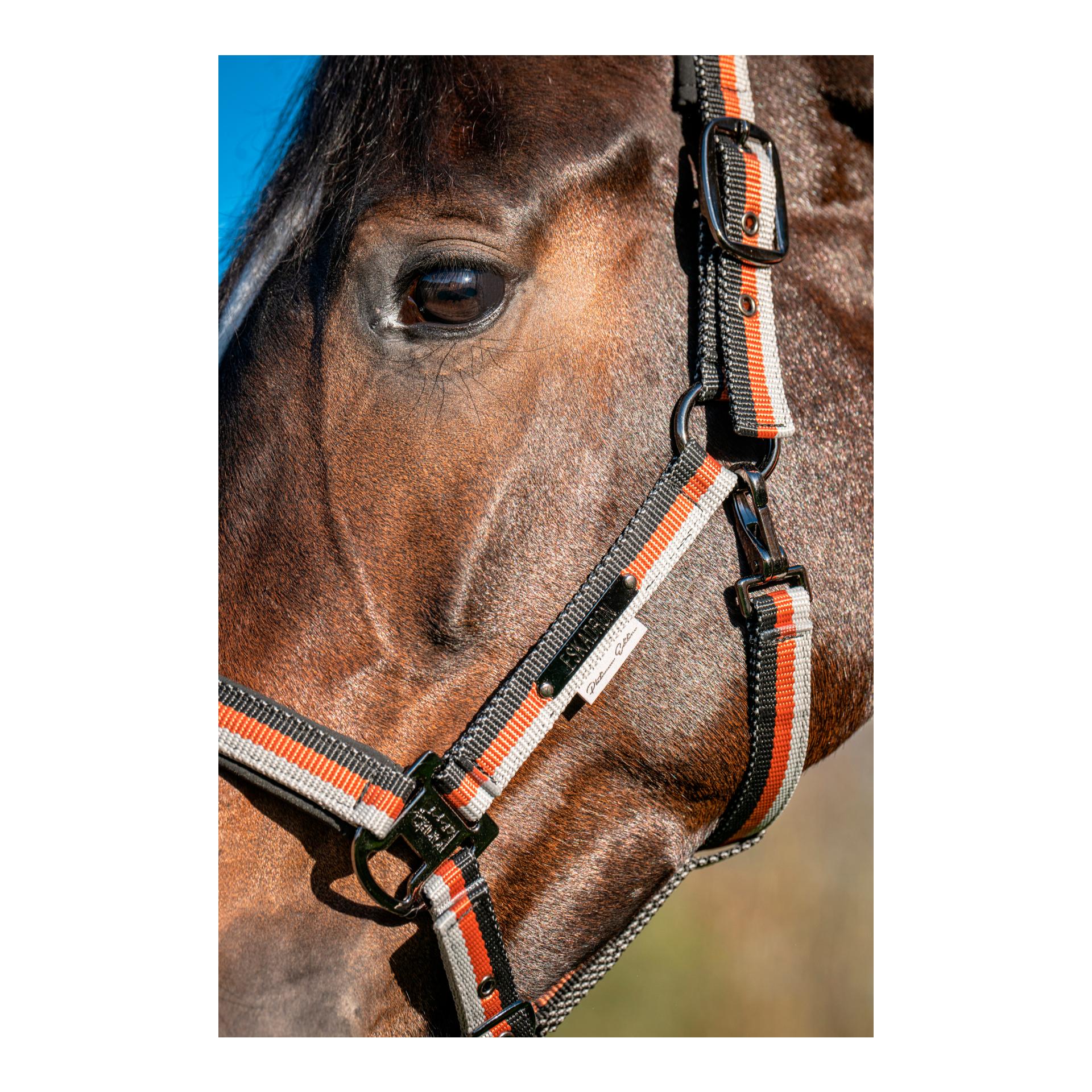 Eskadron Halfter GIRTH LIGHT DOUBLE PIN Platinum 26 S/S