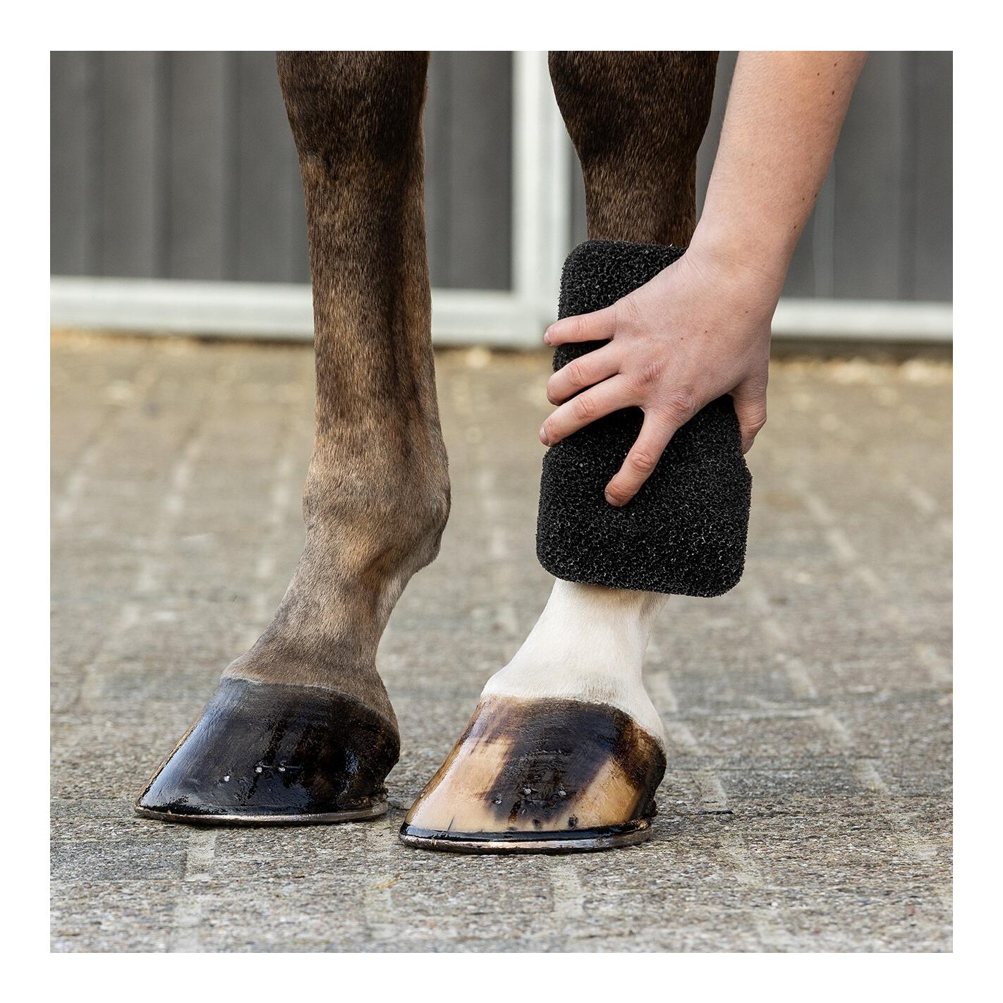 QHP Equi Super Shiner - Pferdeschwamm zur Fellreinigung