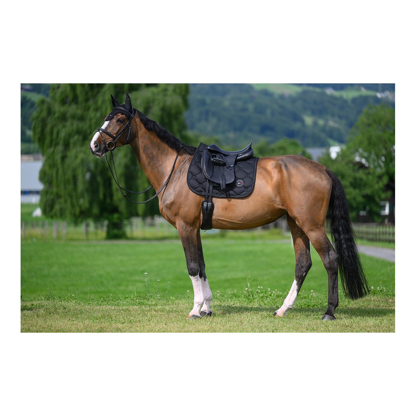 Tommy Hilfiger Equestrian Chabraque Emory