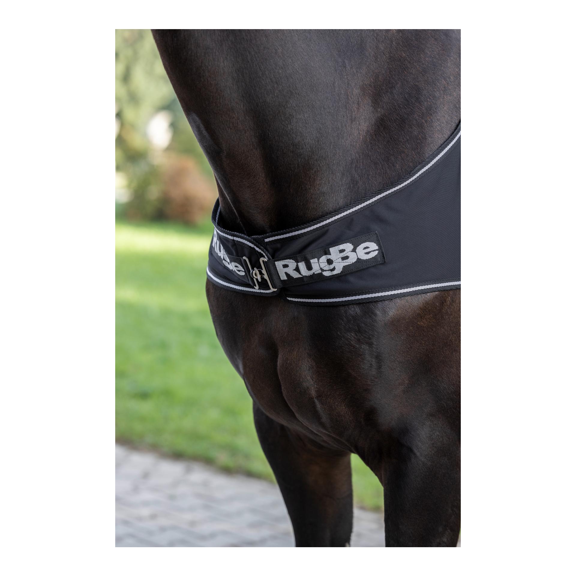 RugBe Führanlagendecke RugBe