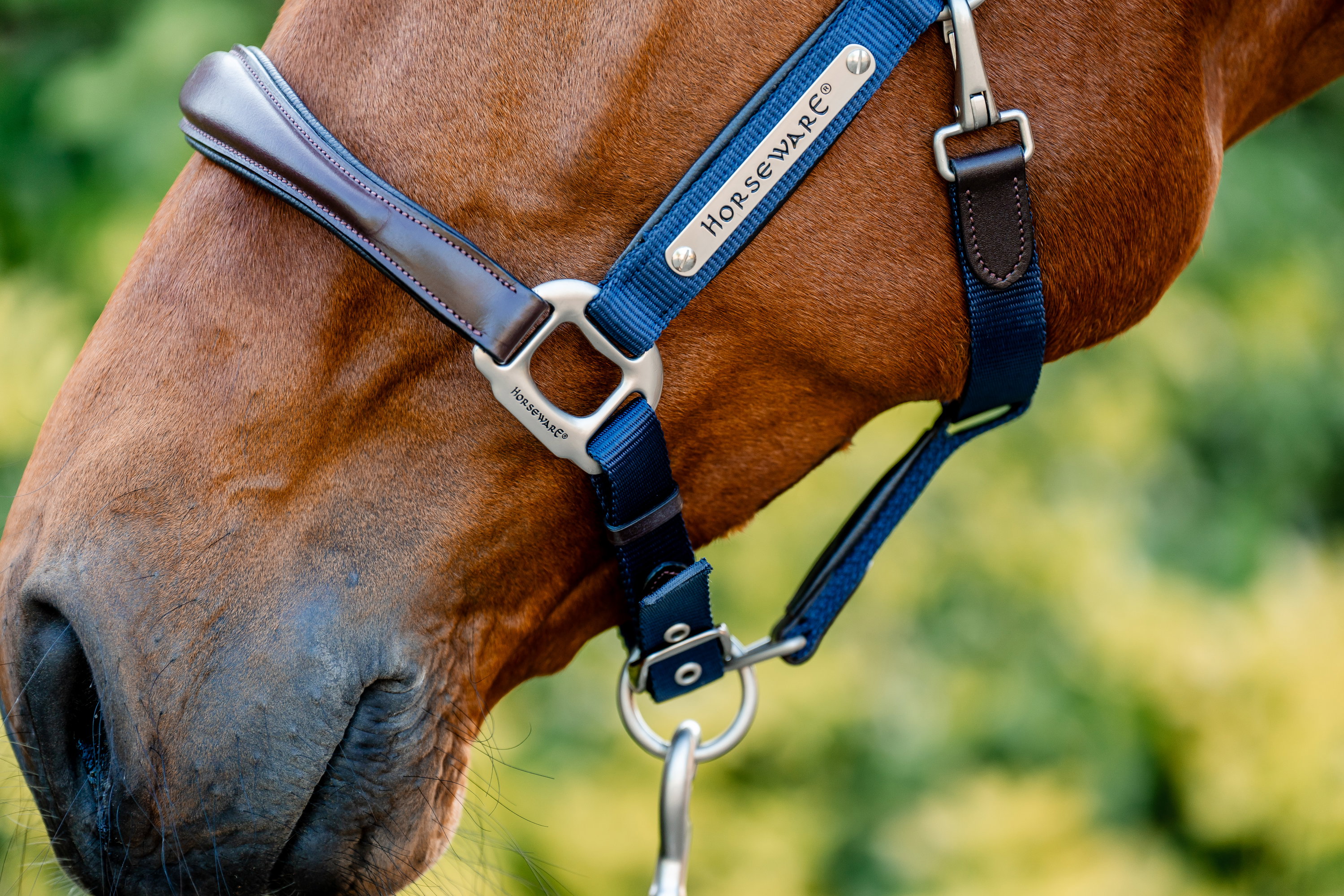 Horseware Halfter Signature Compeition