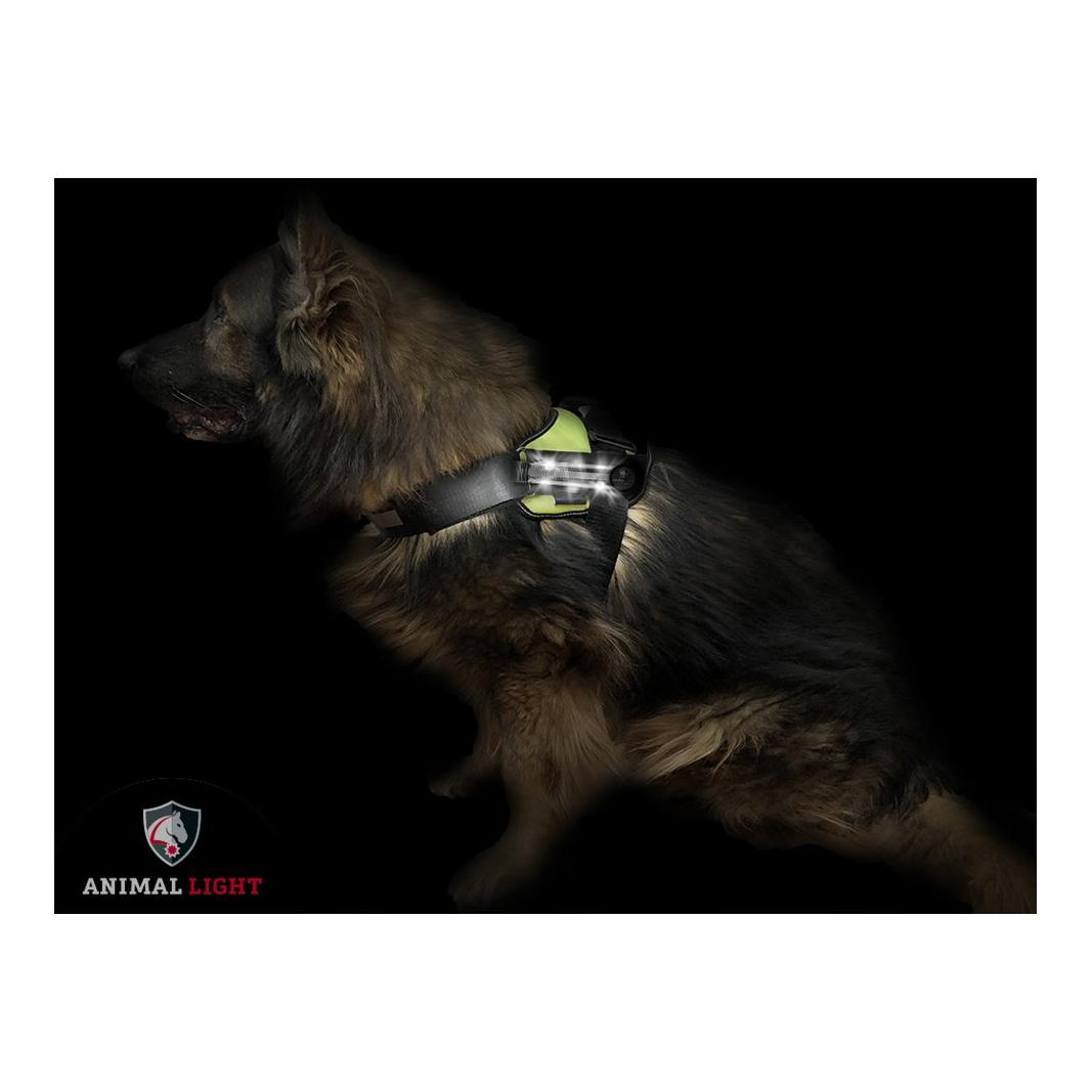 Animal Light Leucht - Harnais pour chien « Flex » - blanc