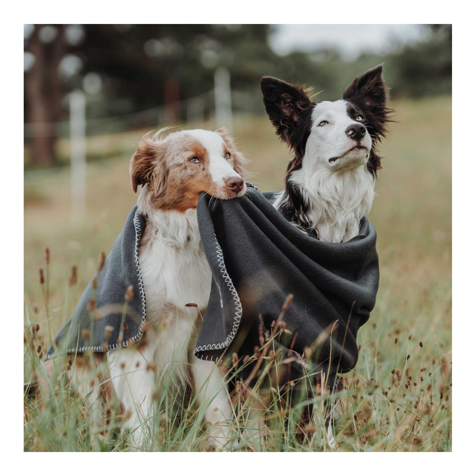 Hunter Couverture pour chien Casper